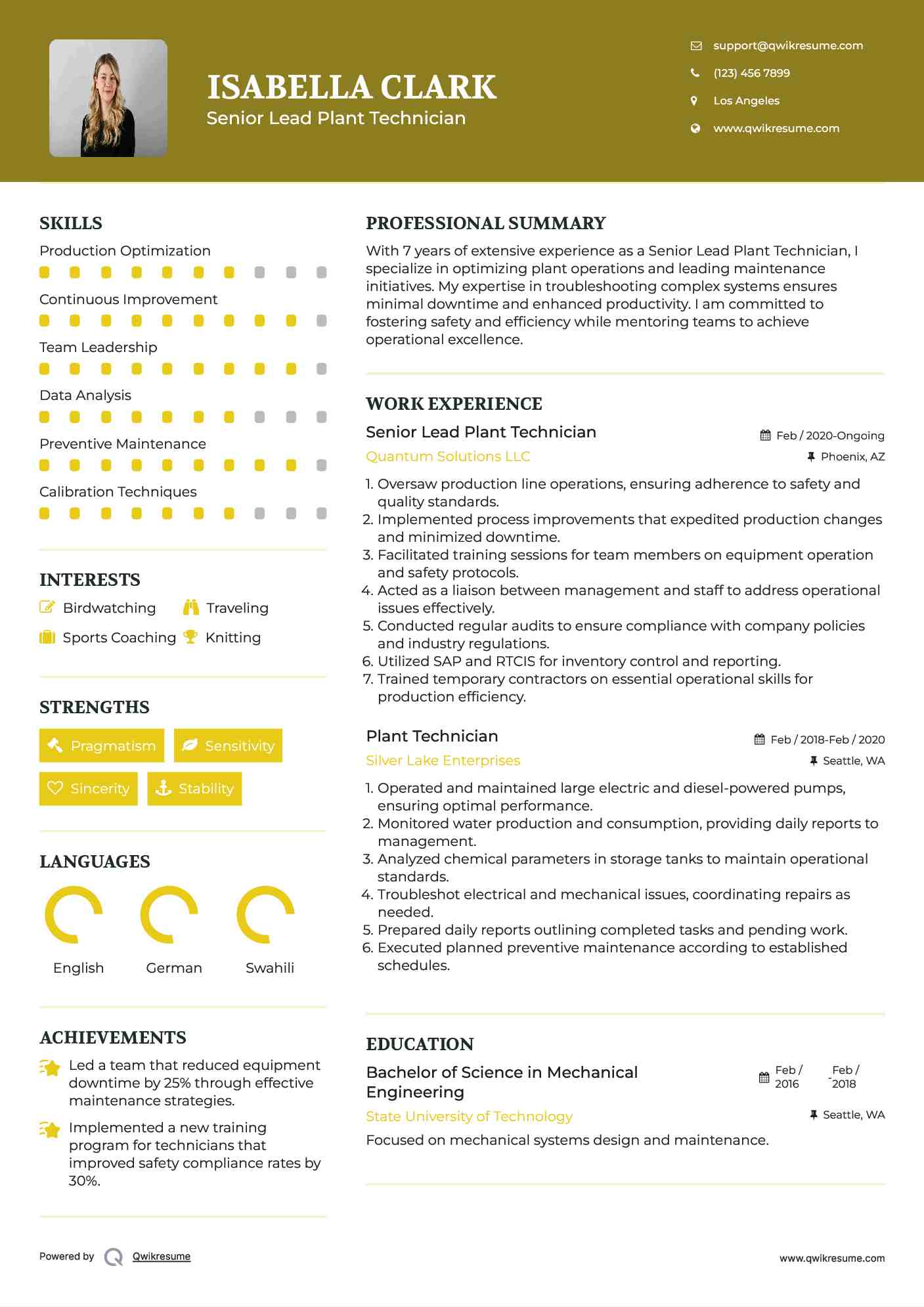 Senior Lead Plant Technician Resume Format