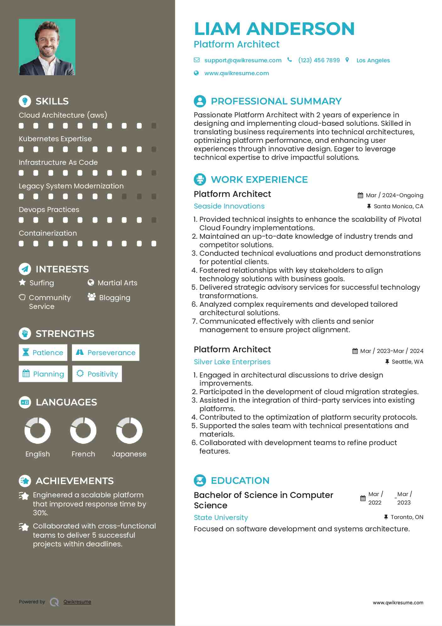 Platform Architect Resume Example
