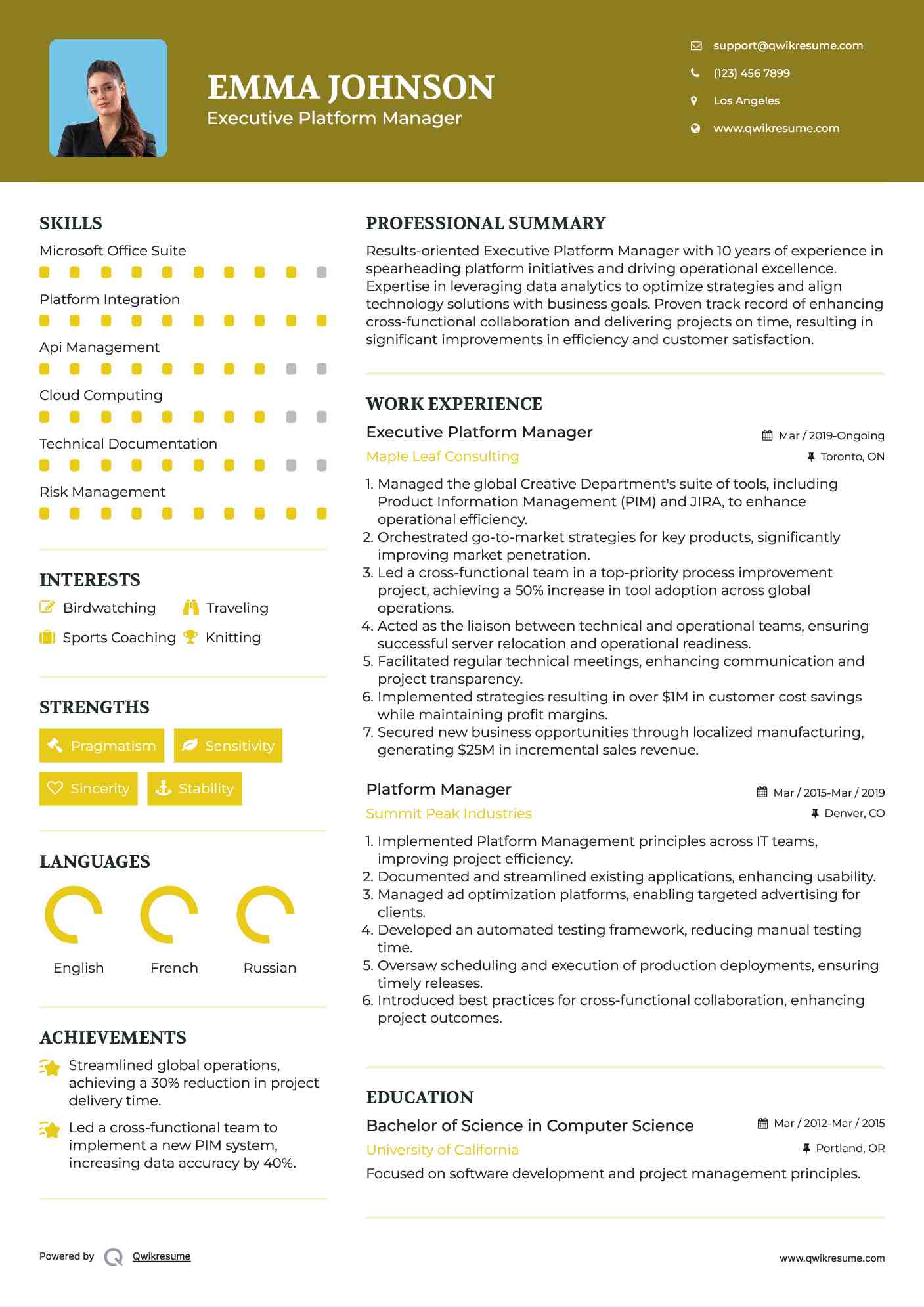 Executive Platform Manager Resume Template