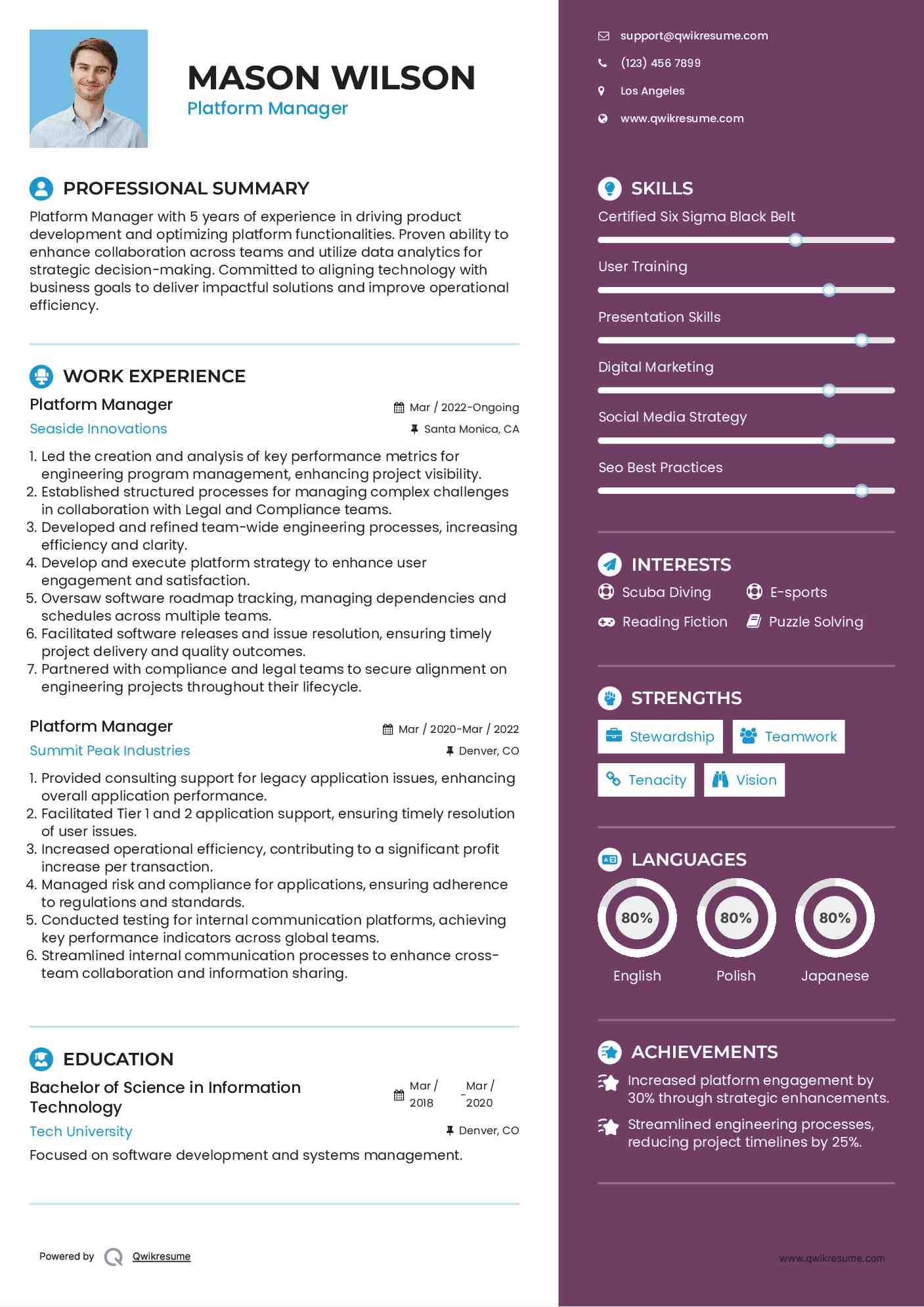 Platform Manager Resume Example