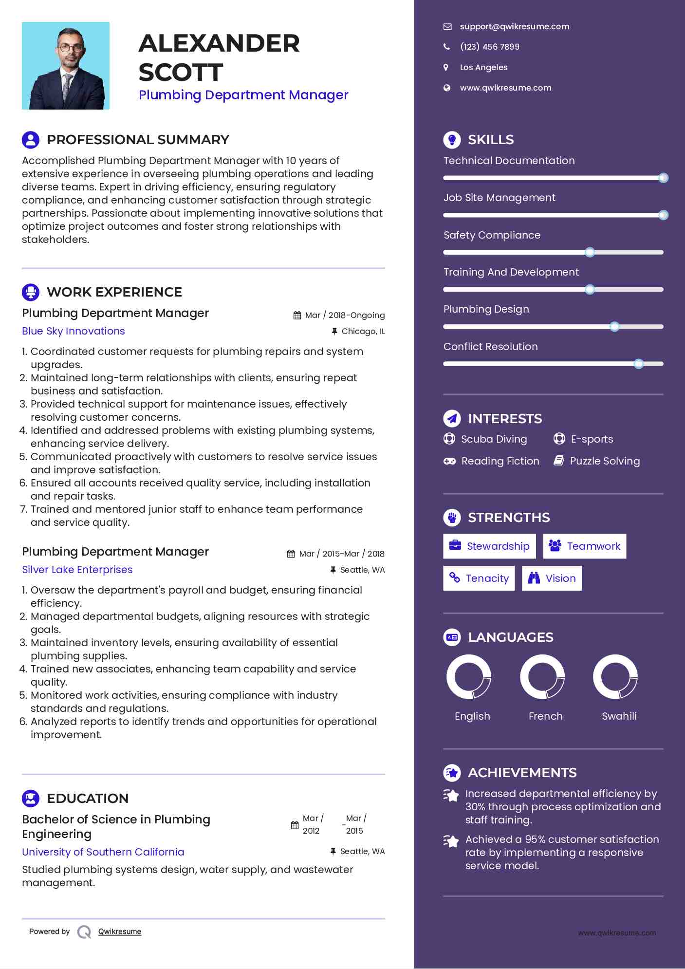 Plumbing Department Manager Resume Template
