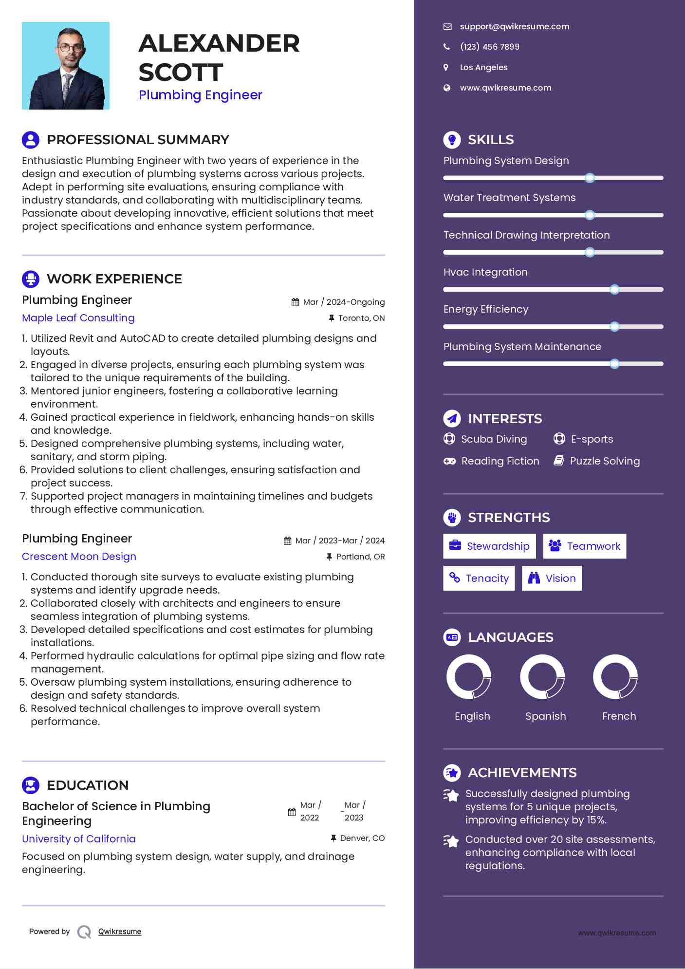 Plumbing Engineer Resume Example