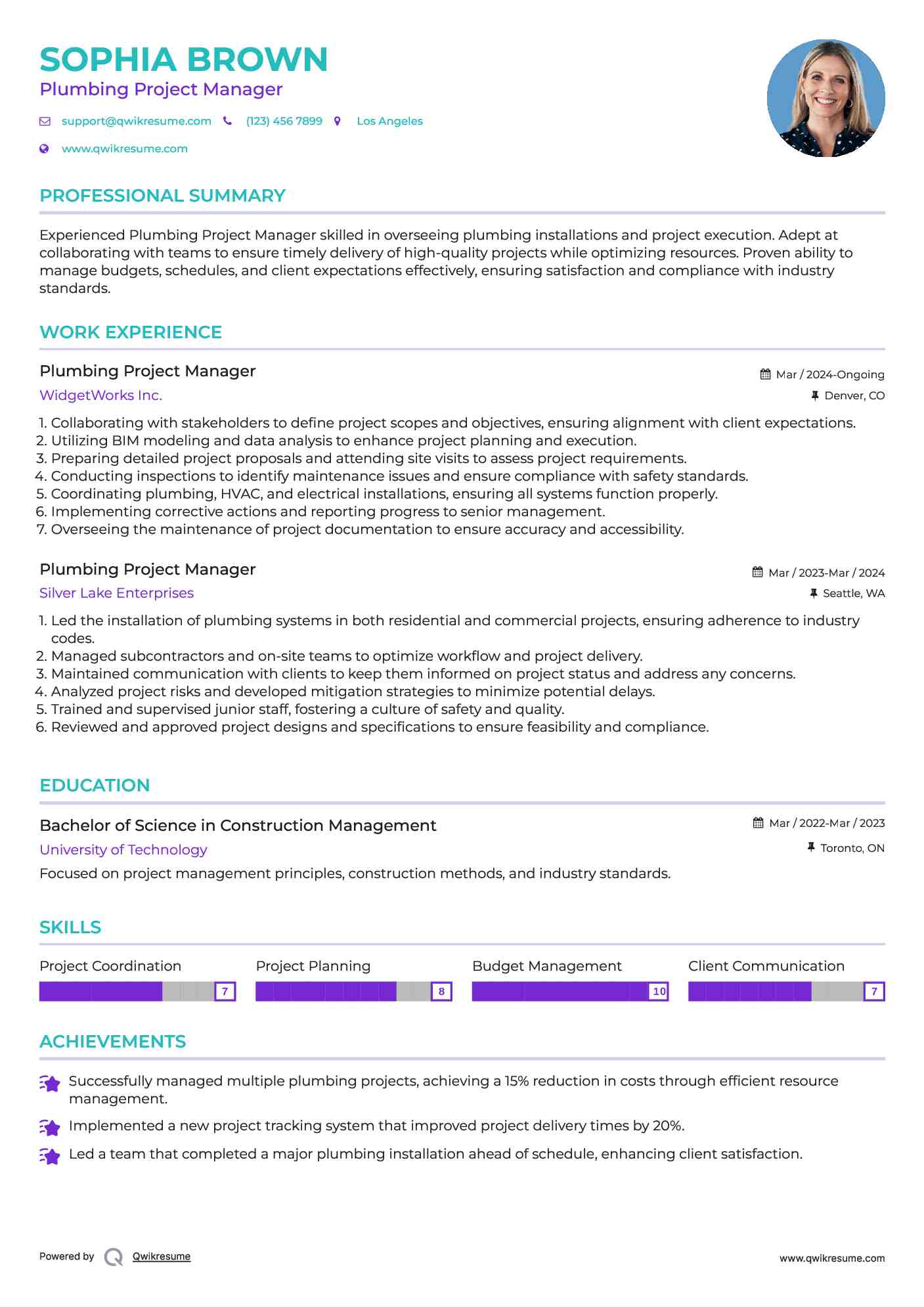 Plumbing Project Manager Resume Example
