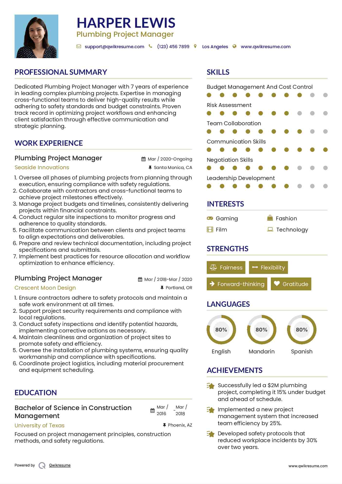Plumbing Project Manager Resume Format