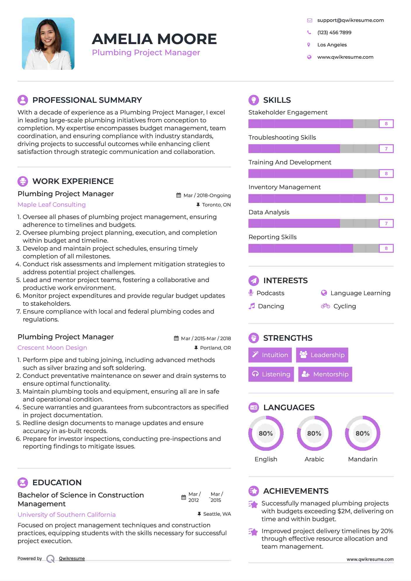 Plumbing Project Manager Resume Model