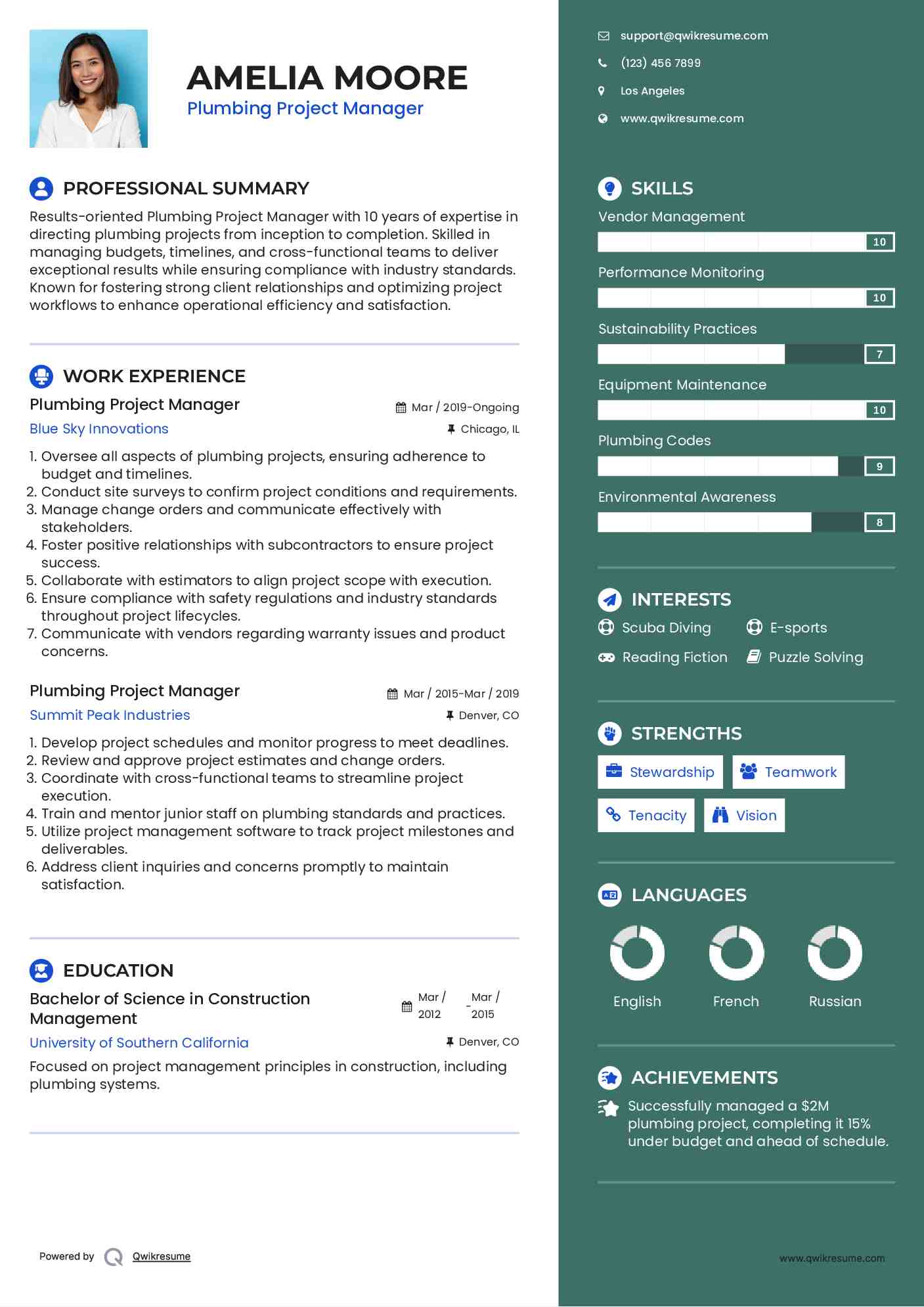 Plumbing Project Manager Resume Example
