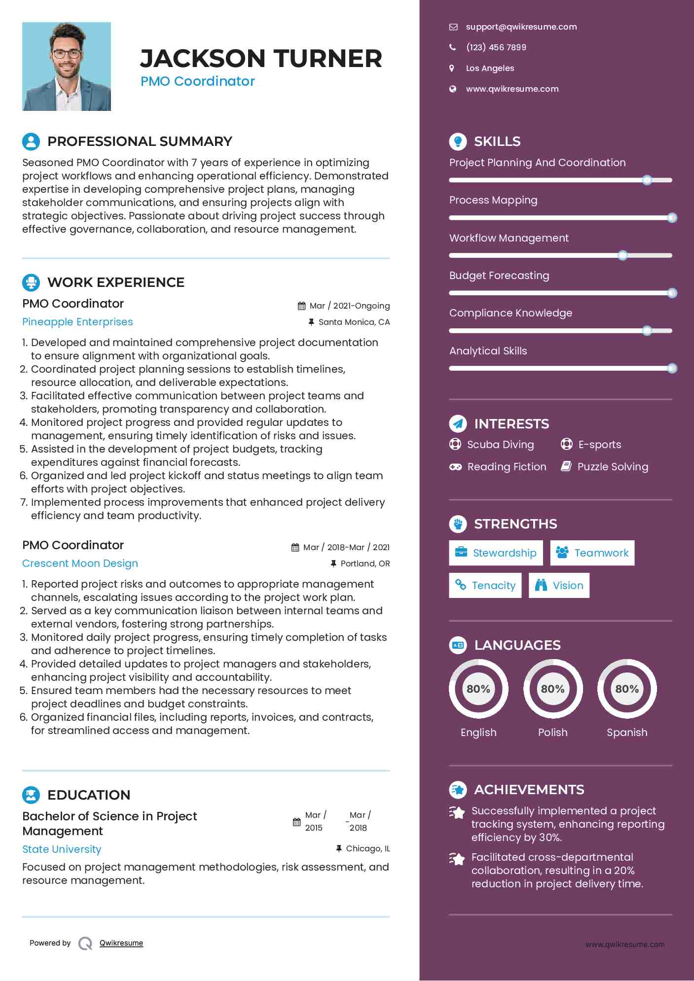PMO Coordinator Resume Example