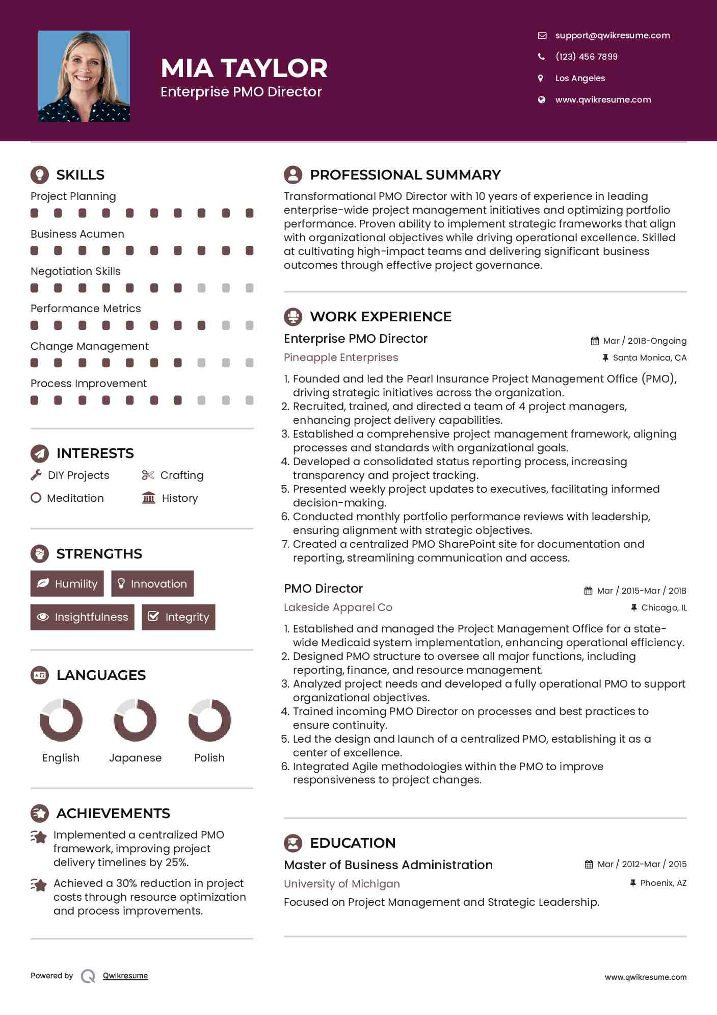 Enterprise PMO Director Resume Template