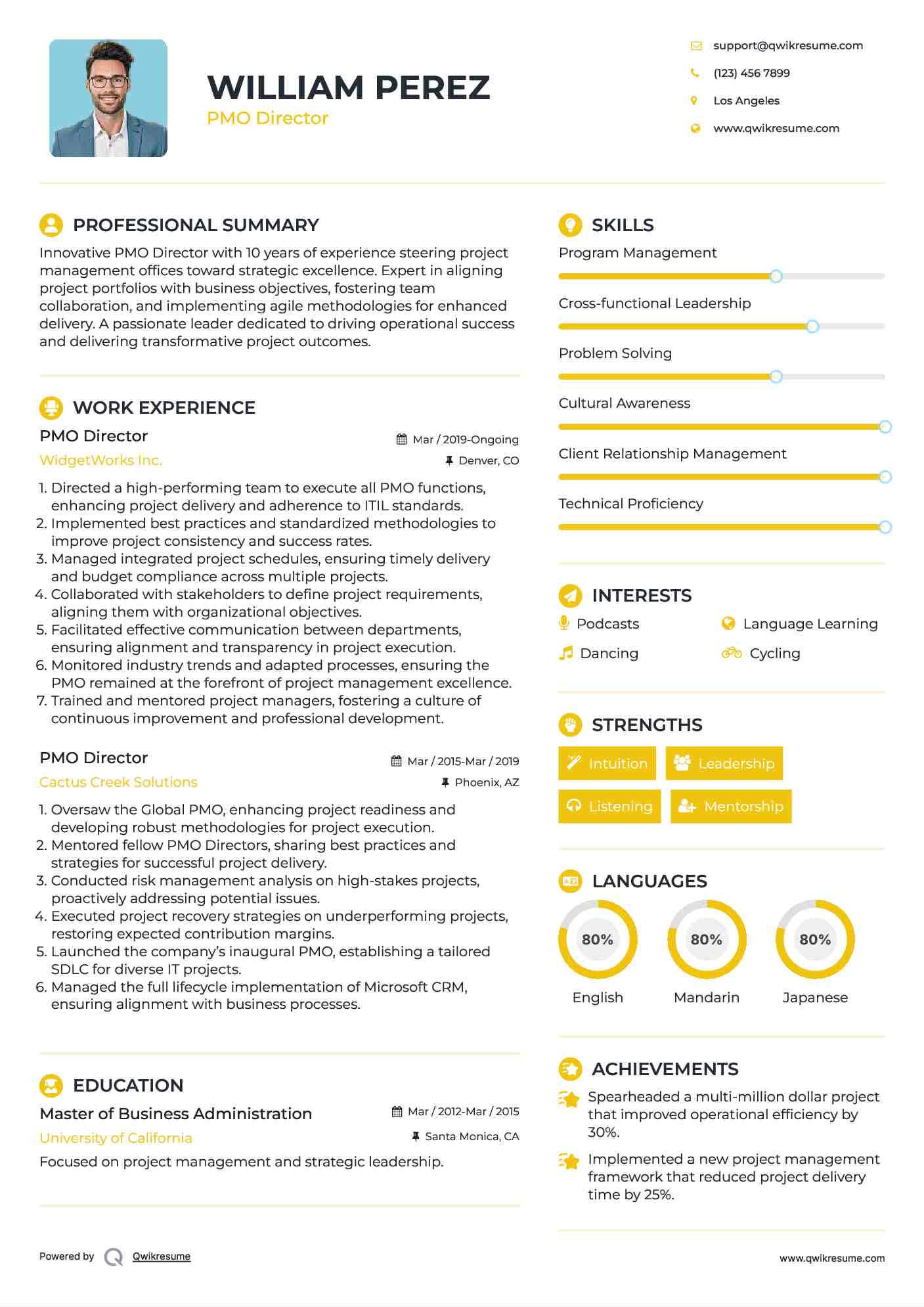 PMO Director Resume Template