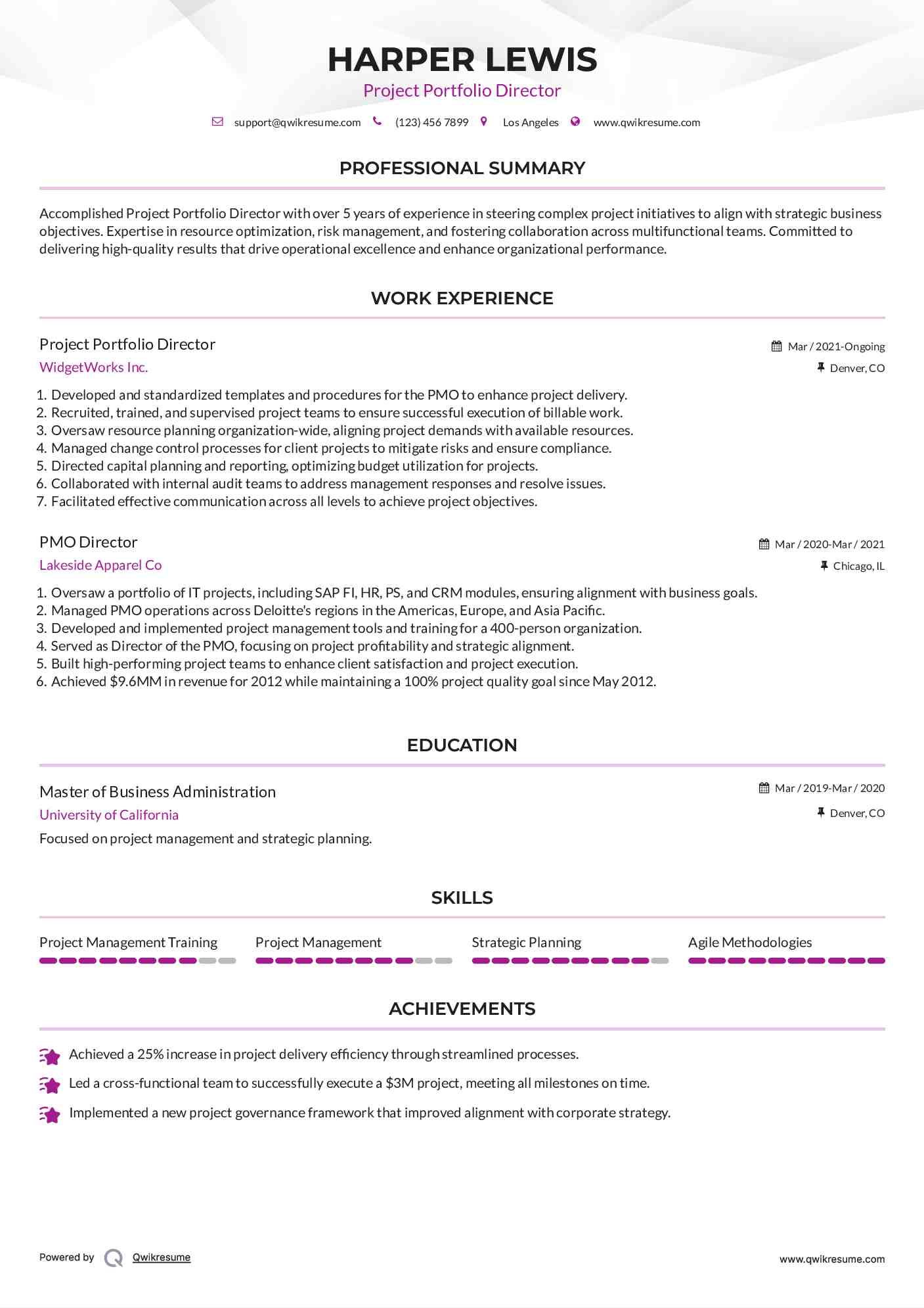 Project Portfolio Director Resume Model