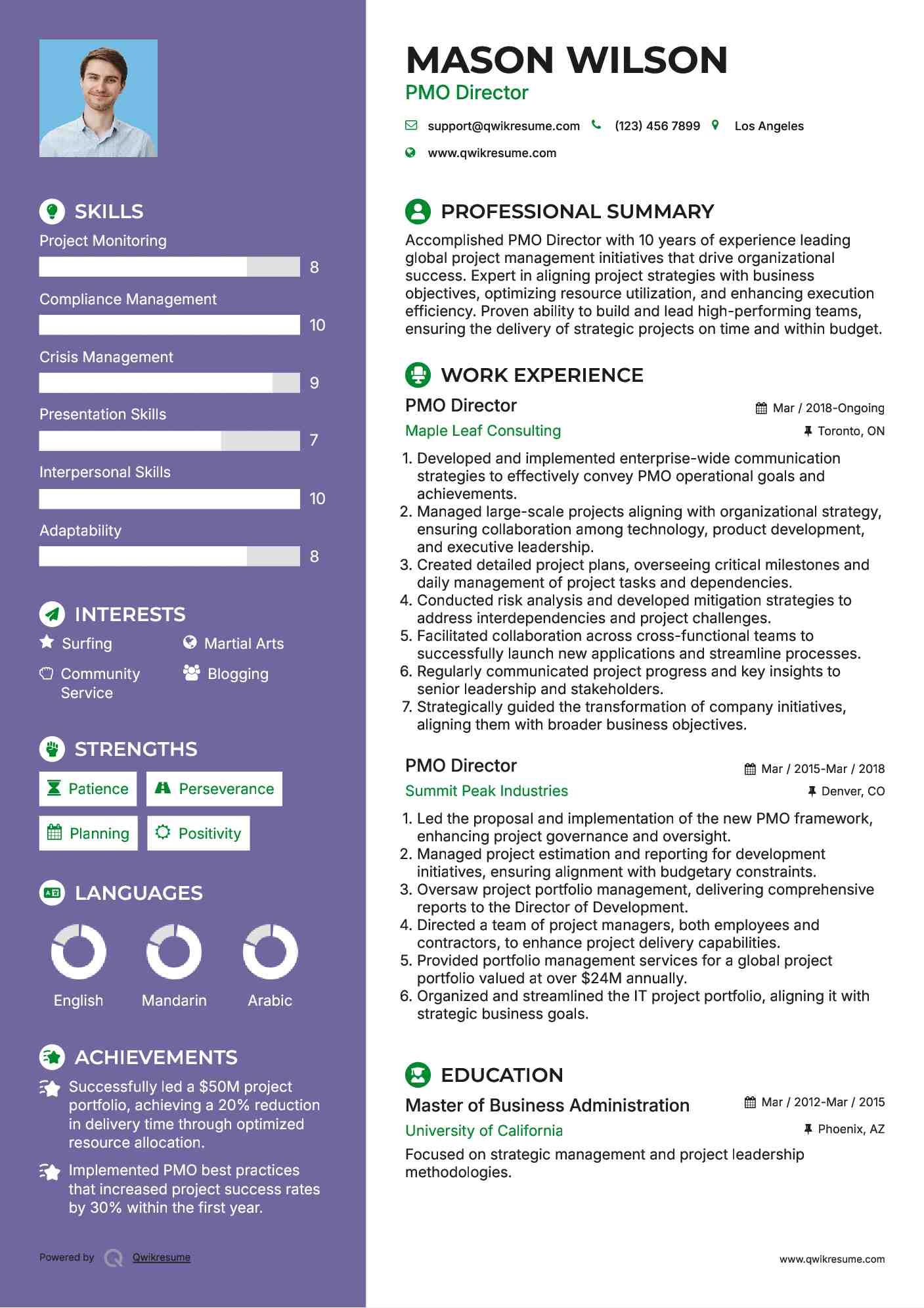 PMO Director Resume Sample