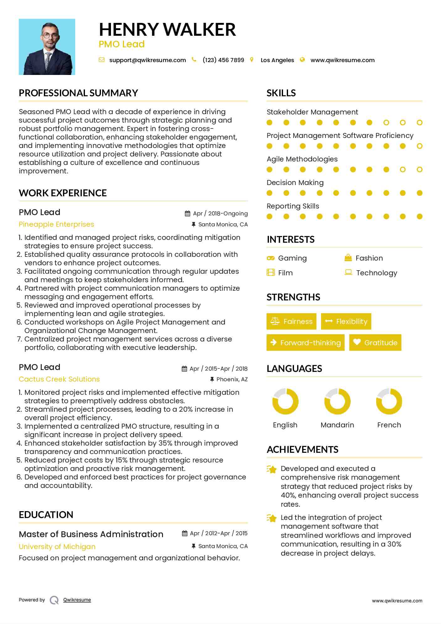 PMO Lead Resume Model