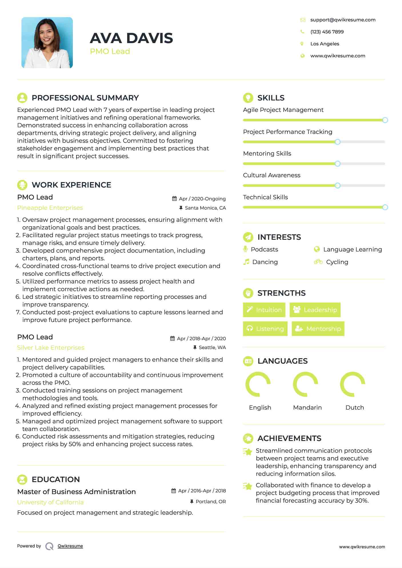 PMO Lead Resume Template