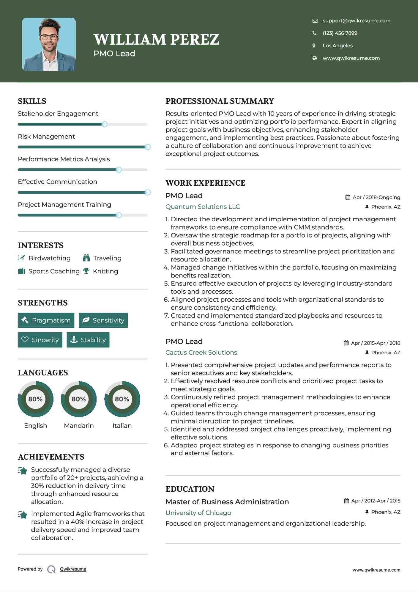 PMO Lead Resume Sample