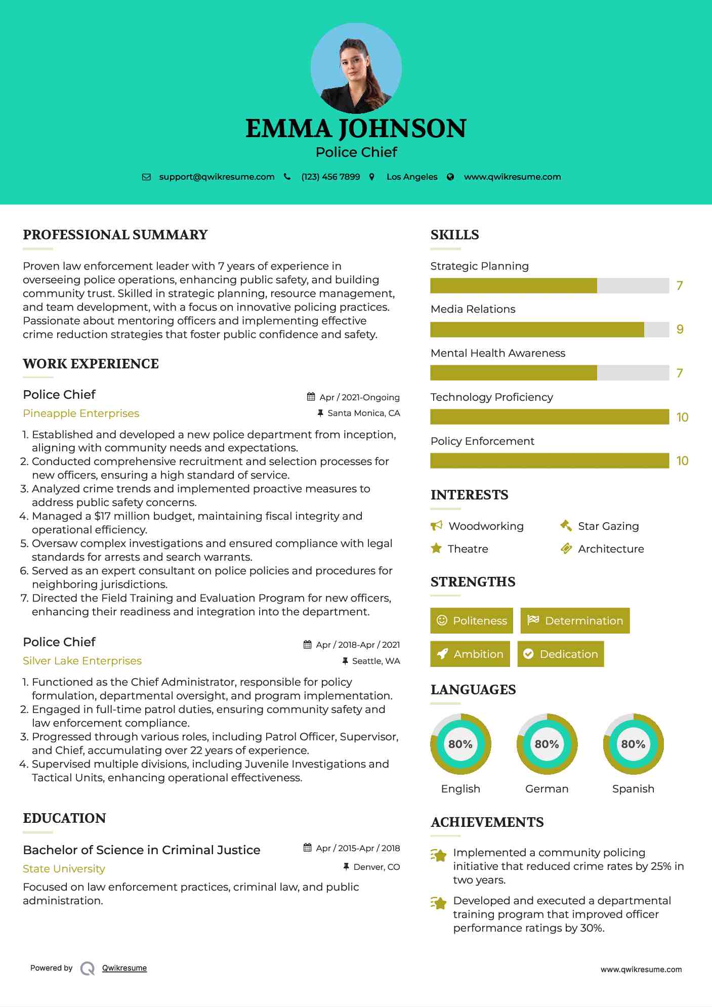 Police Chief Resume Example