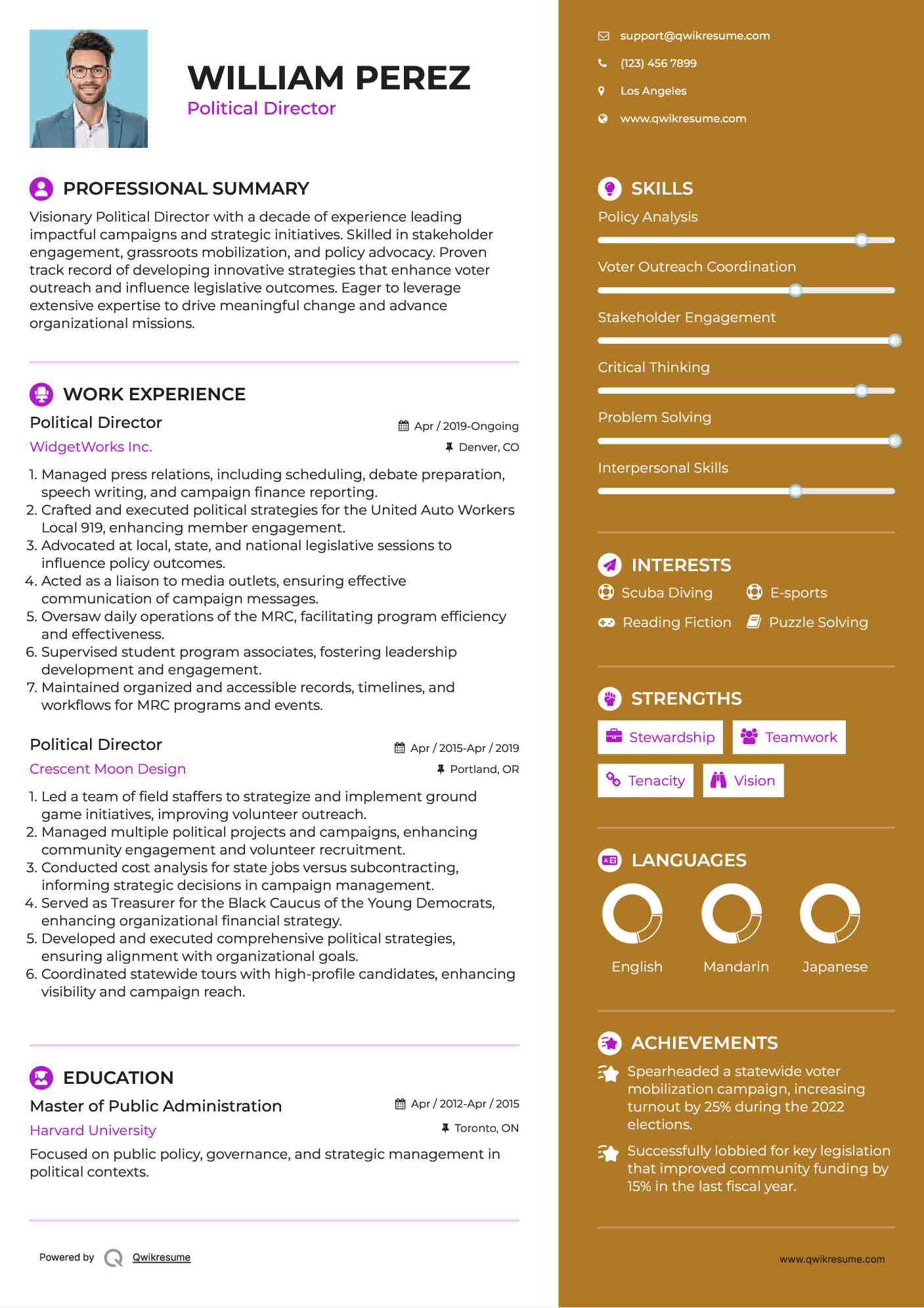 Political Director Resume Template