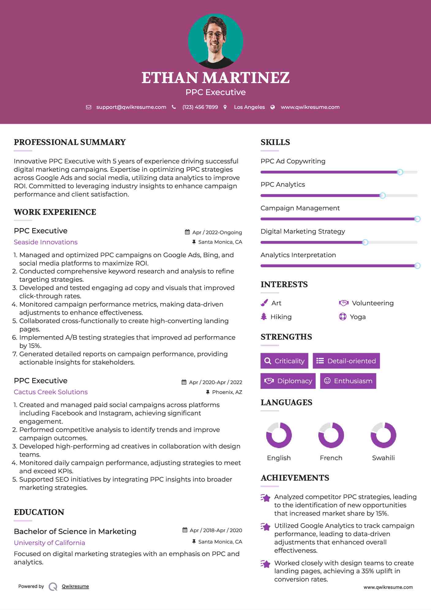 PPC Executive Resume Template