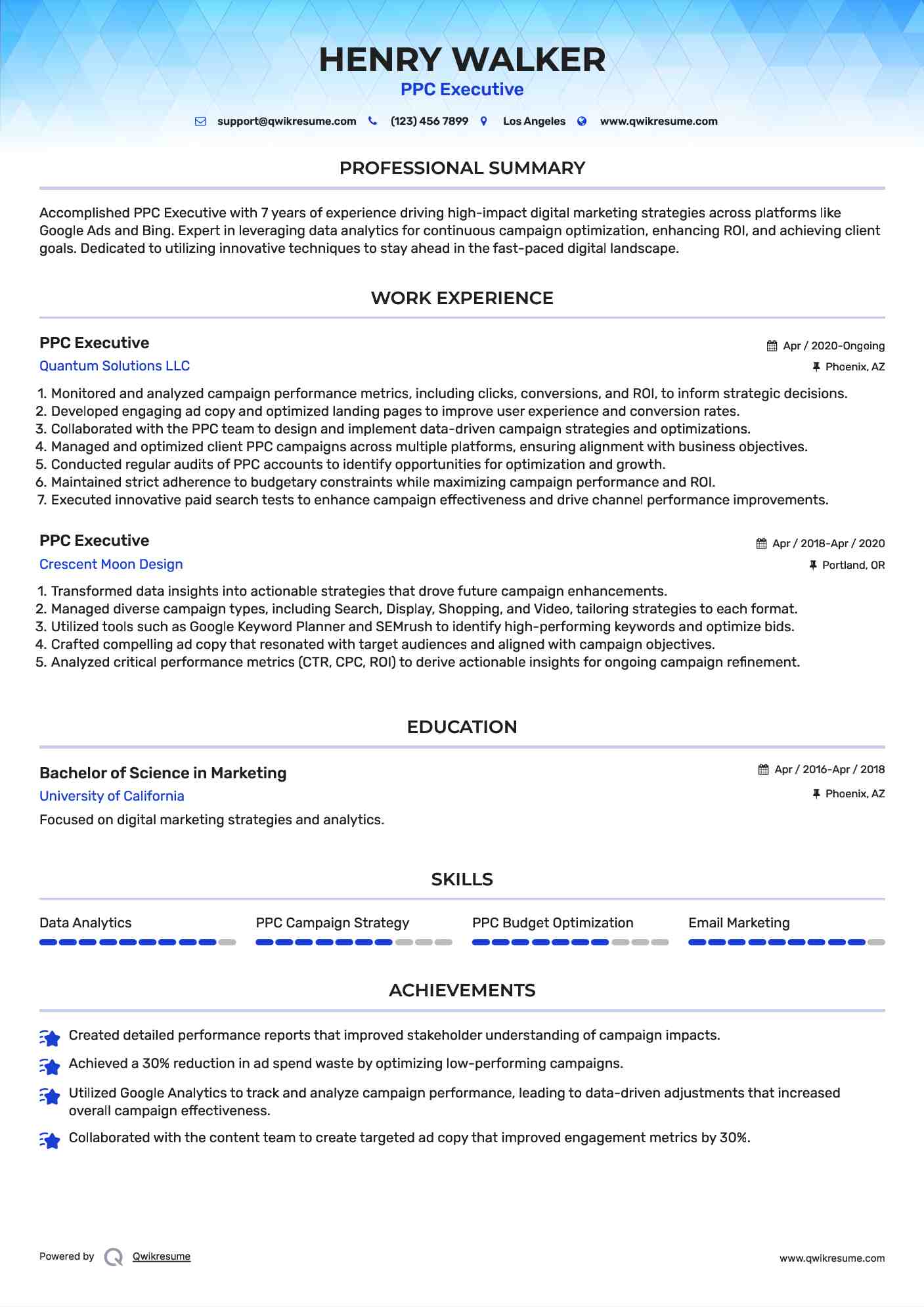 PPC Executive Resume Format