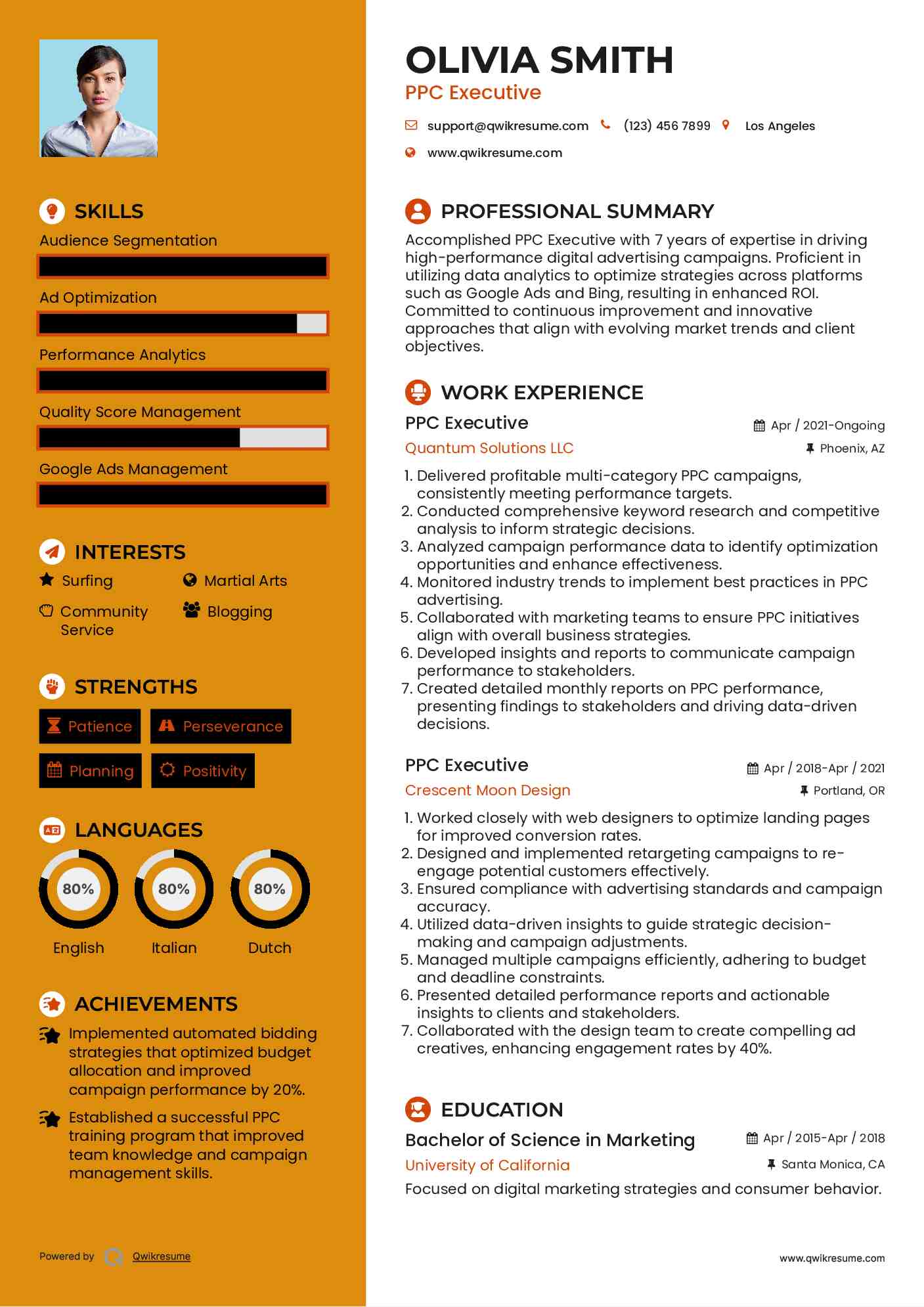 PPC Executive Resume Example