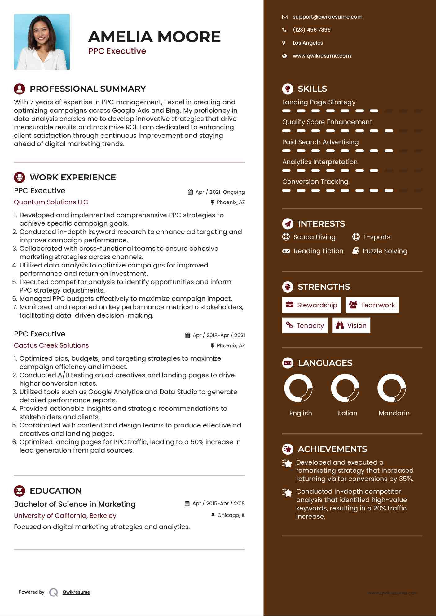 PPC Executive Resume Sample