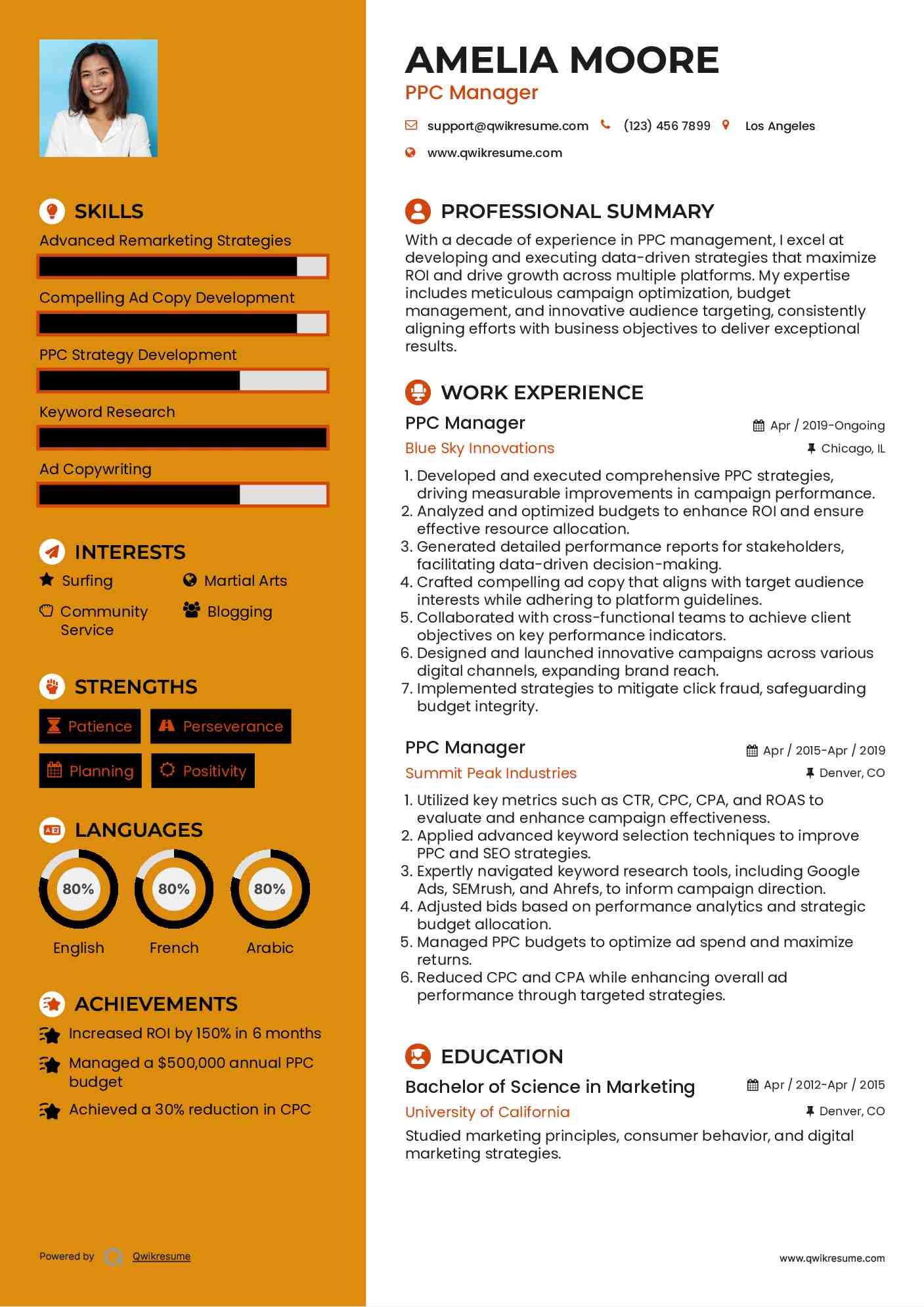 PPC Manager Resume Sample