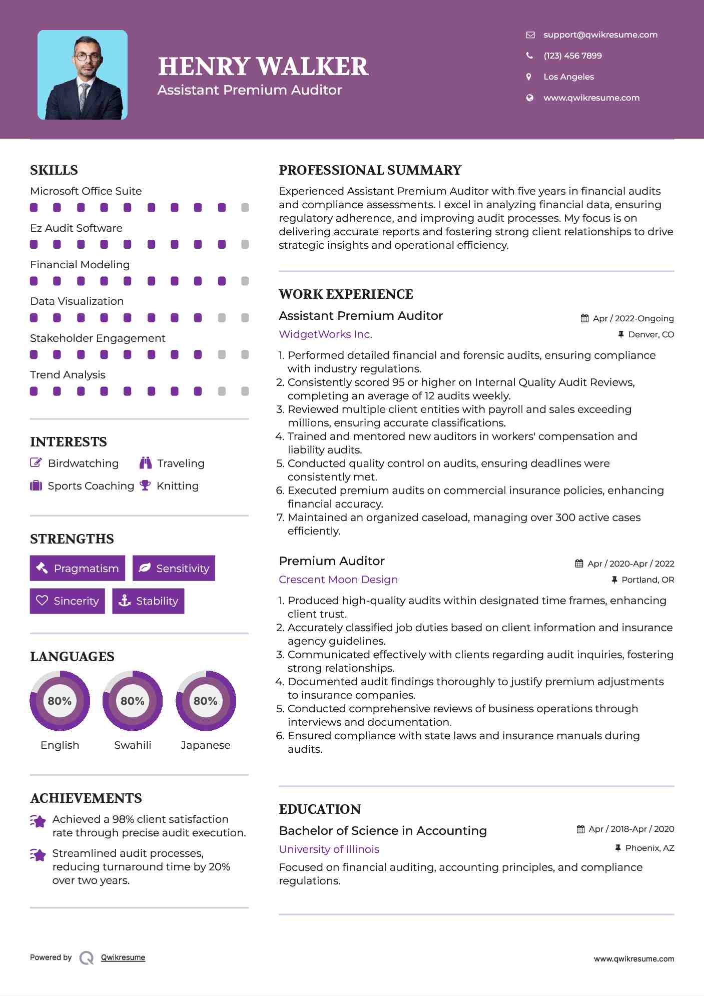 Assistant Premium Auditor Resume Model