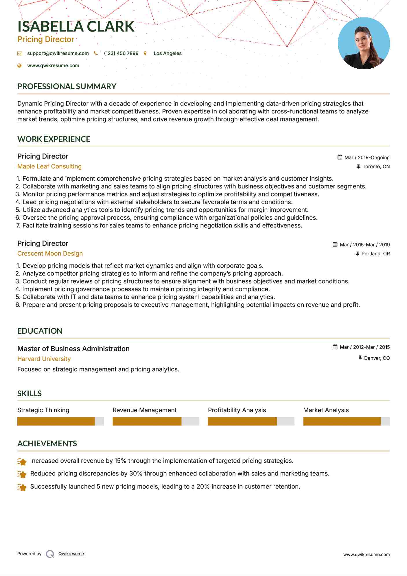 Pricing Director Resume Model