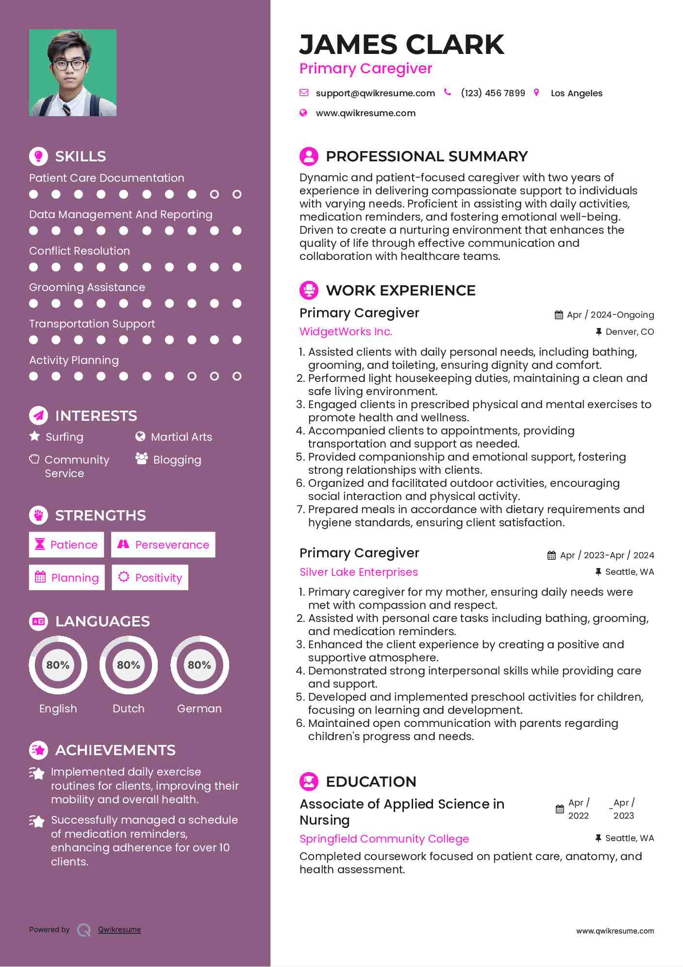 Primary Caregiver Resume Template