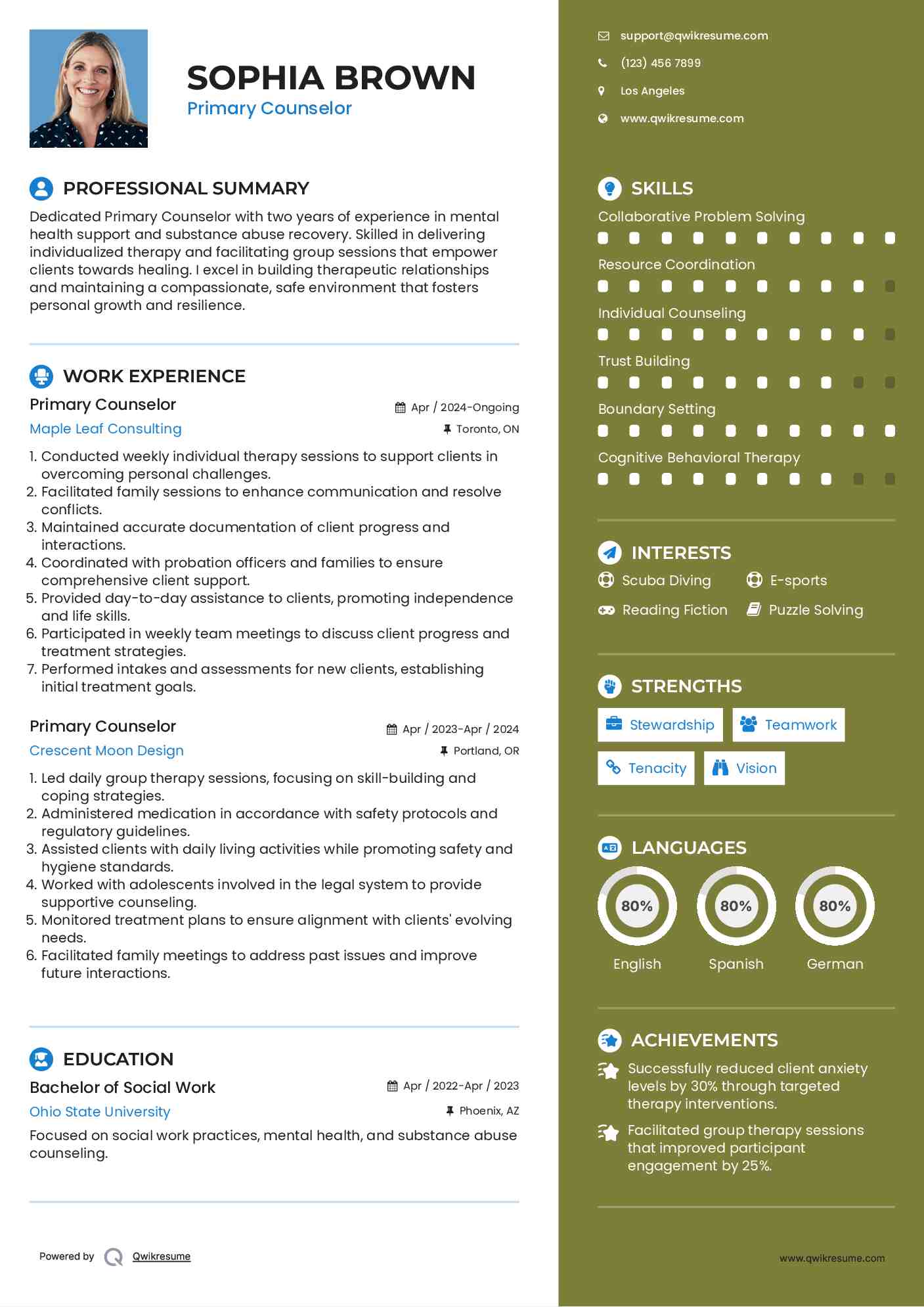 Primary Counselor Resume Example