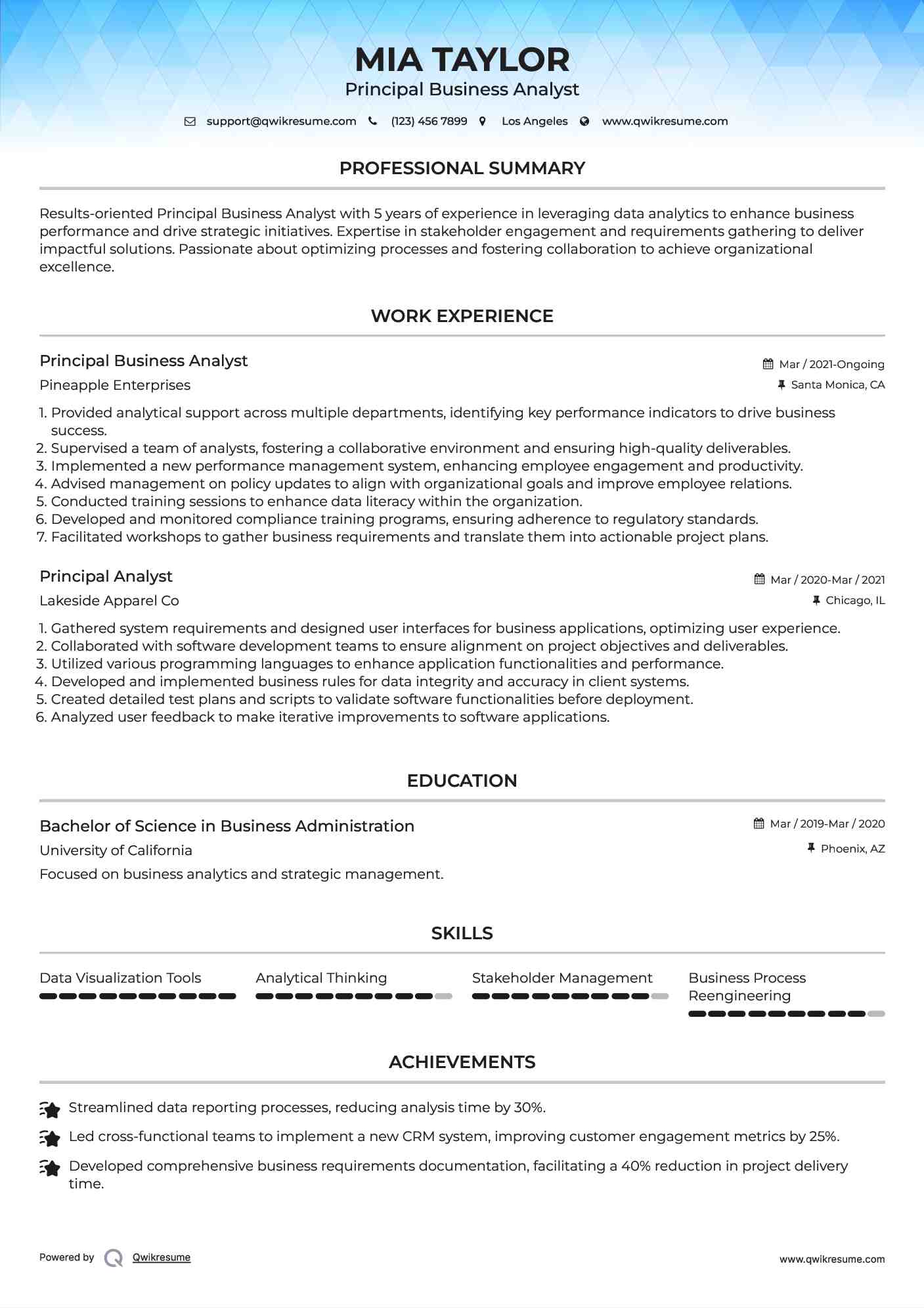 Principal Business Analyst Resume Format