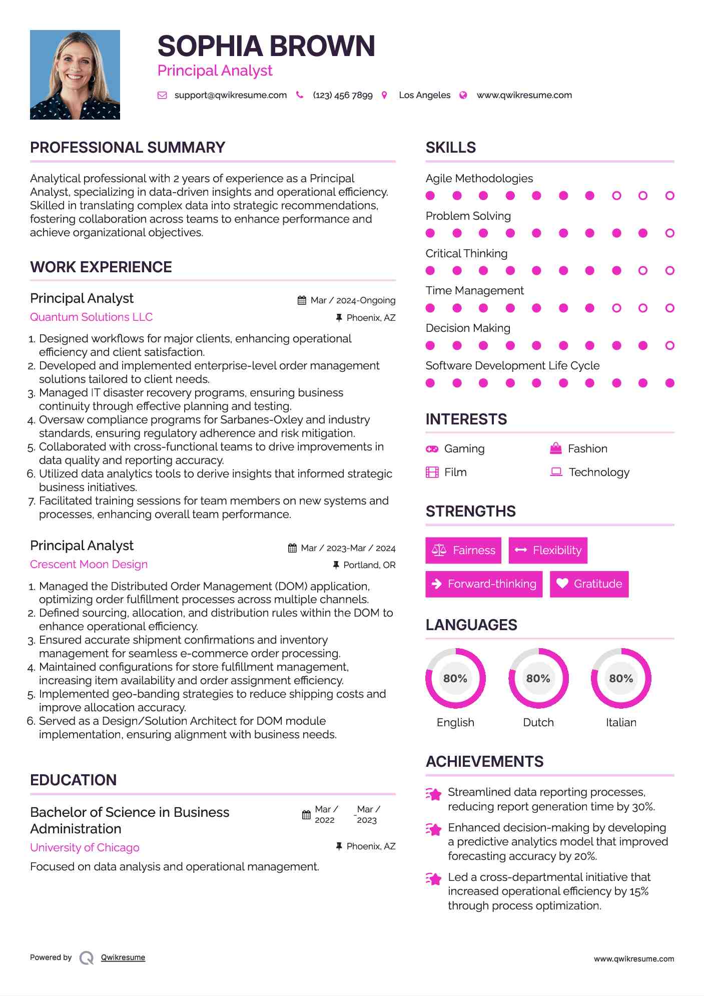 Principal Analyst Resume Model