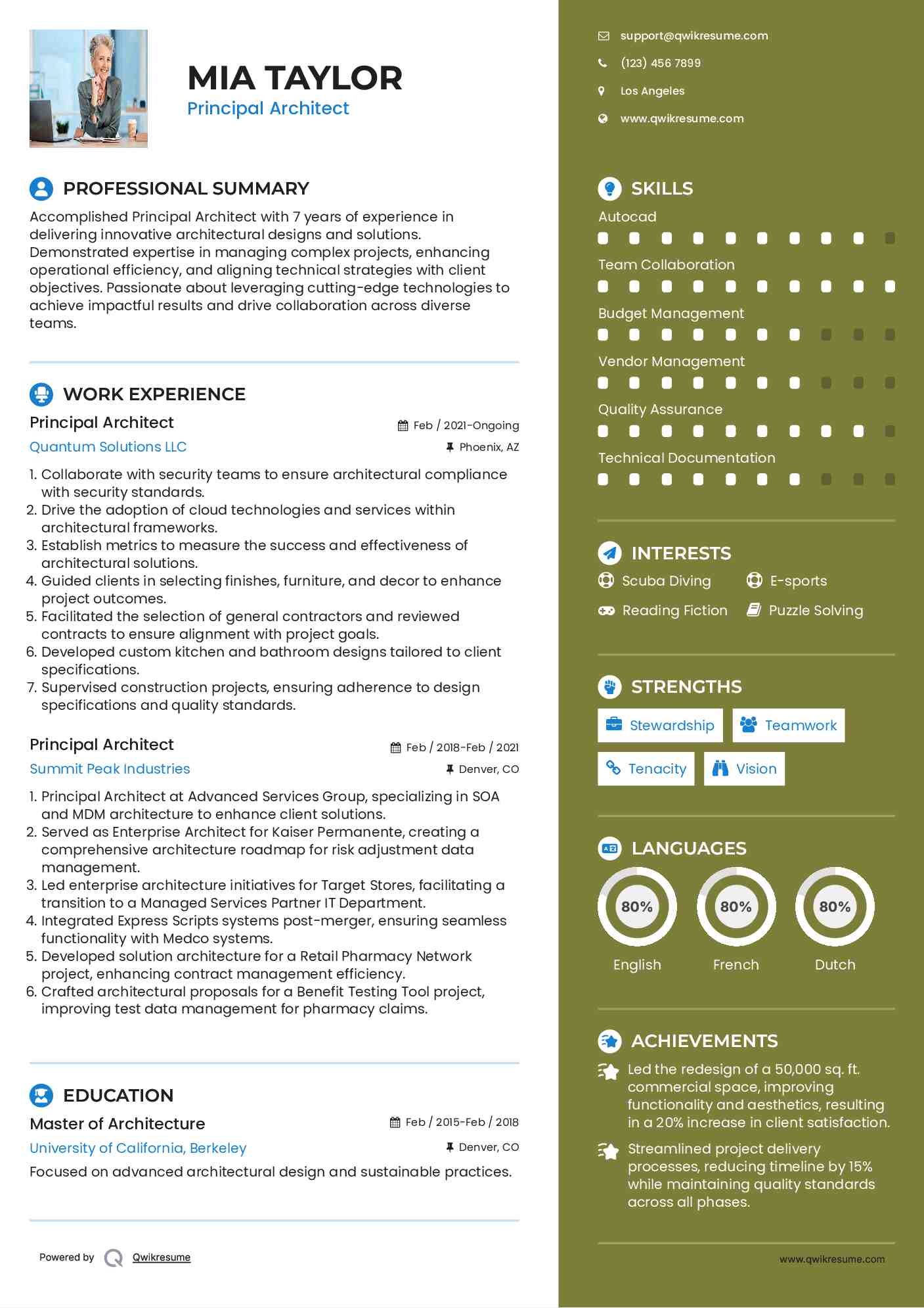 Principal Architect Resume Model