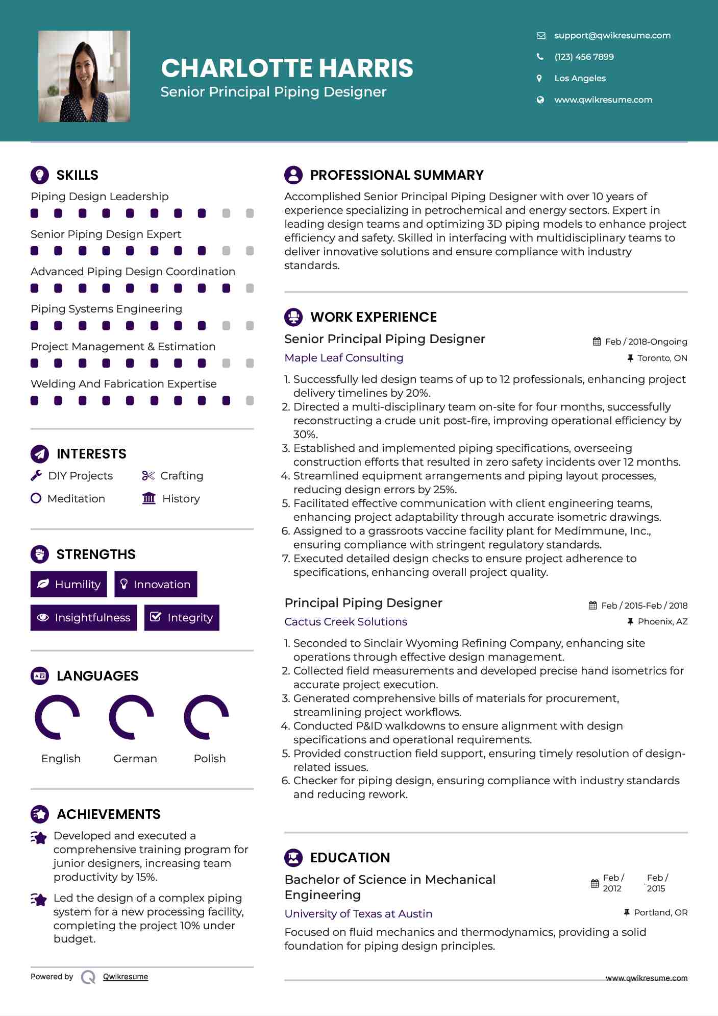 Senior Principal Piping Designer Resume Example