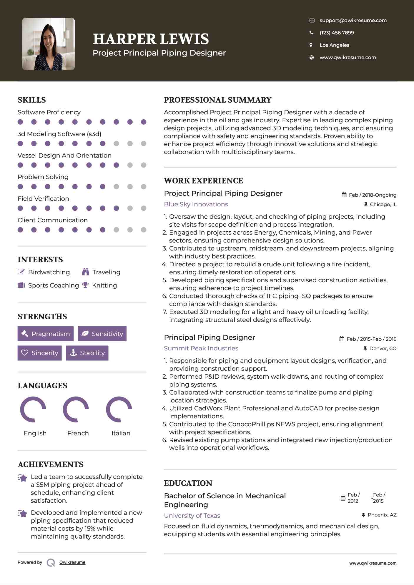 Project Principal Piping Designer Resume Format