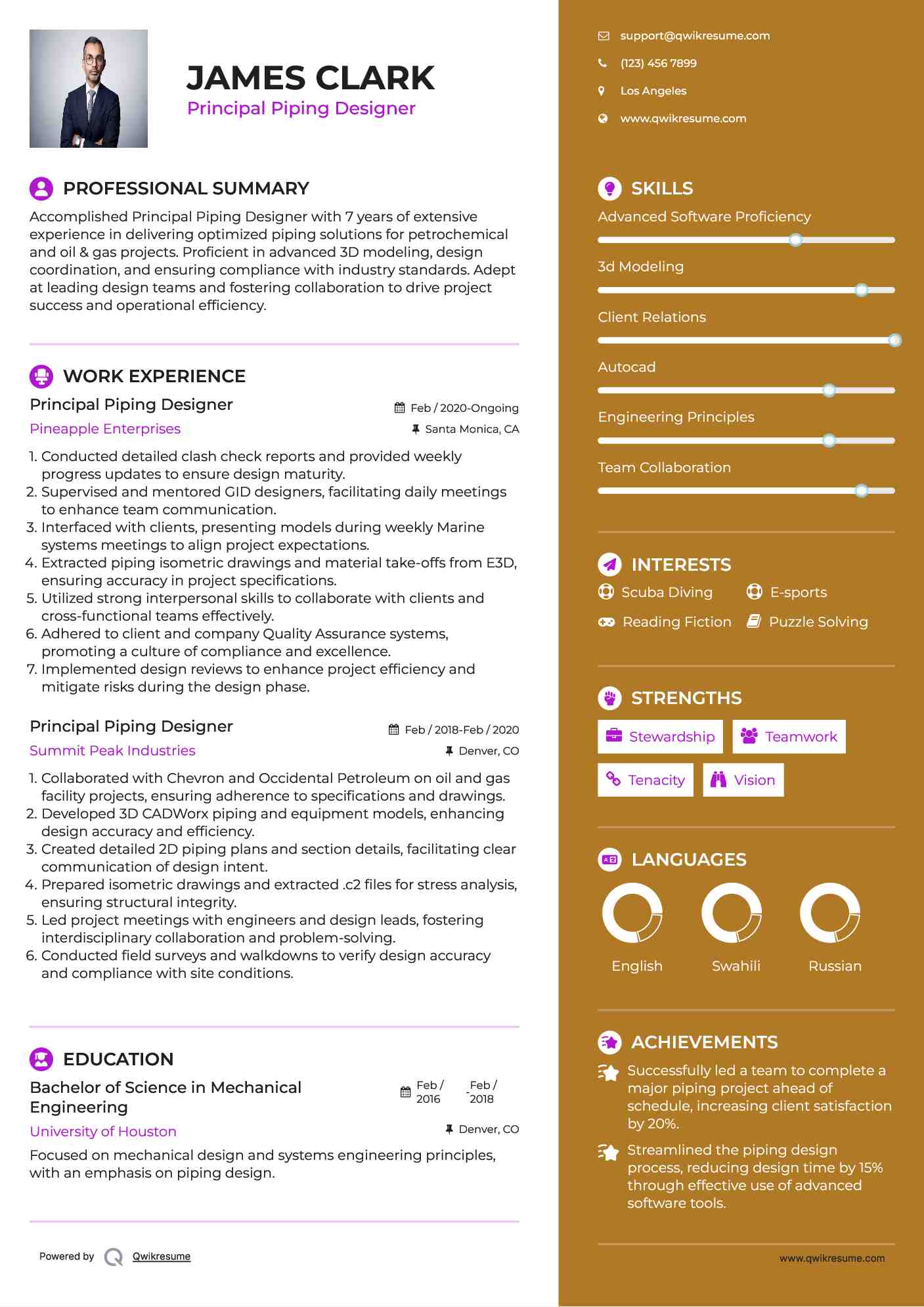 Principal Piping Designer Resume Model