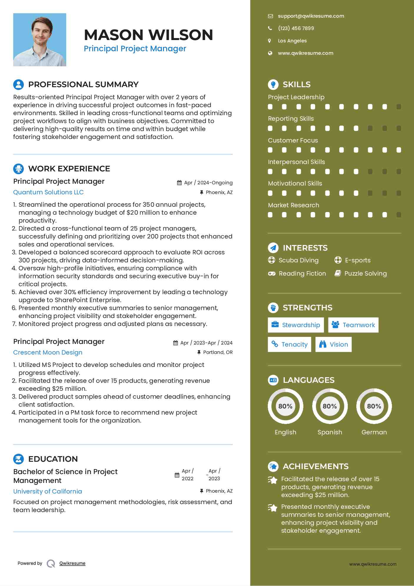 Principal Project Manager Resume Example