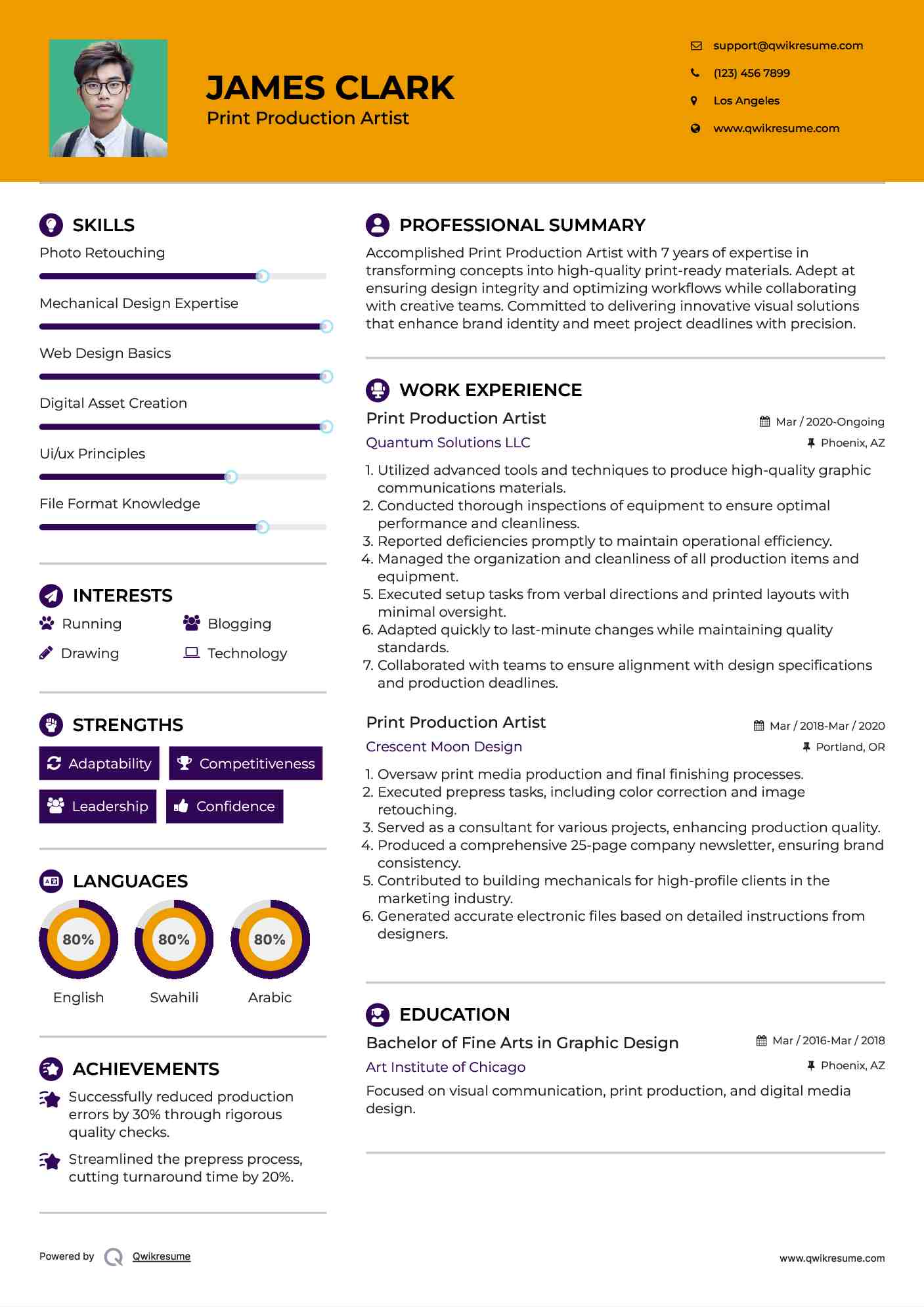 Print Production Artist Resume Example