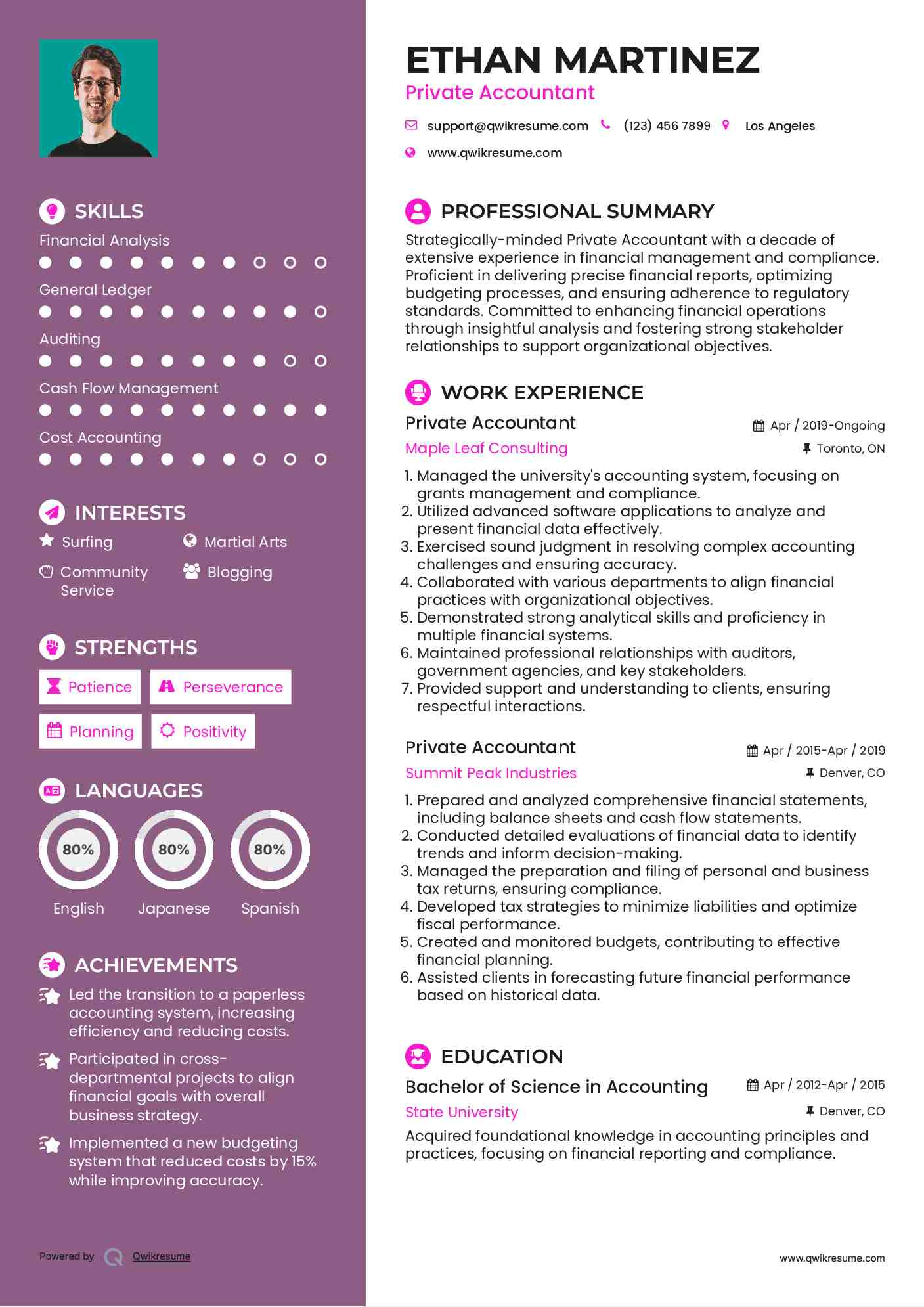 Private Accountant Resume Example