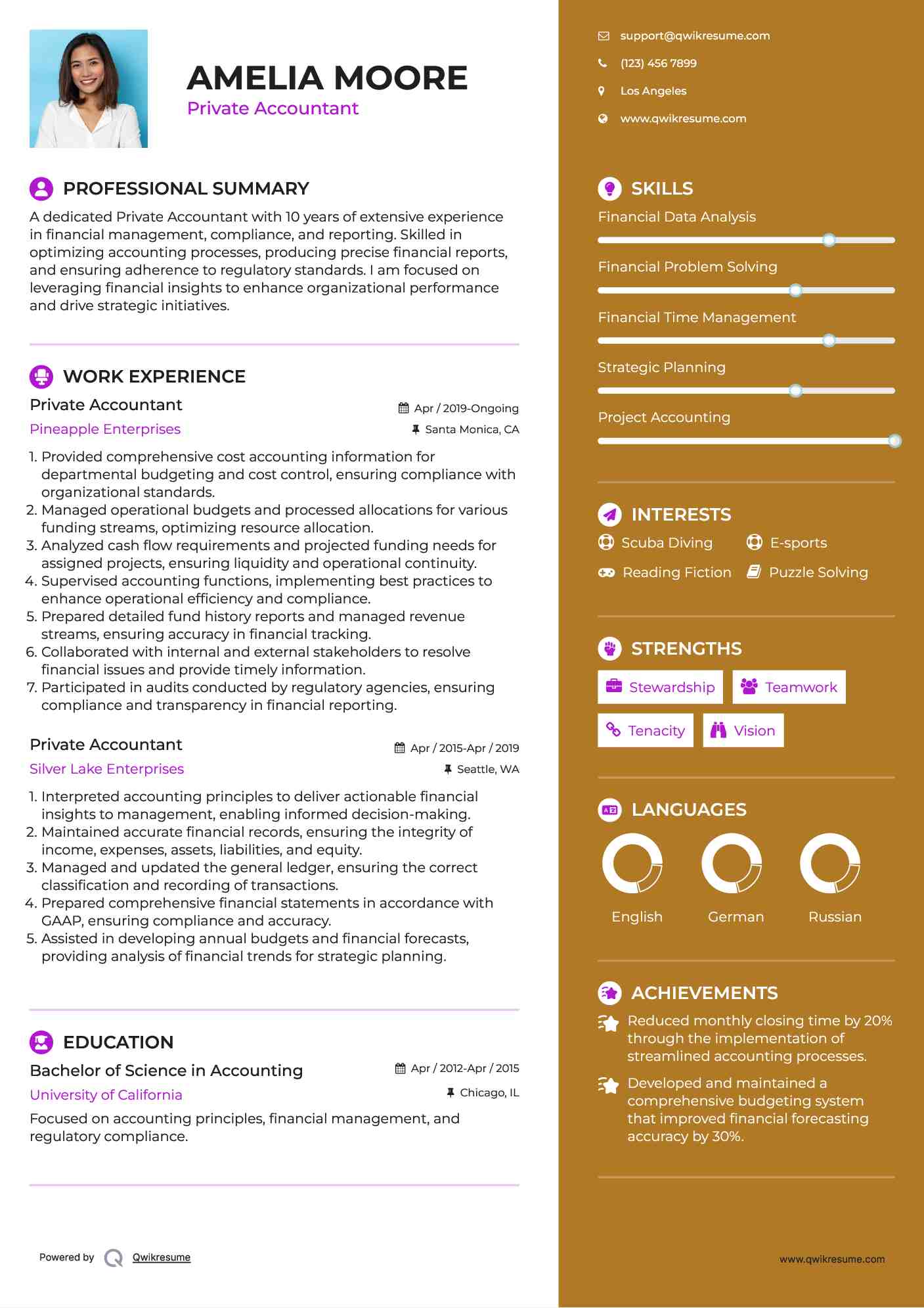 Private Accountant Resume Template