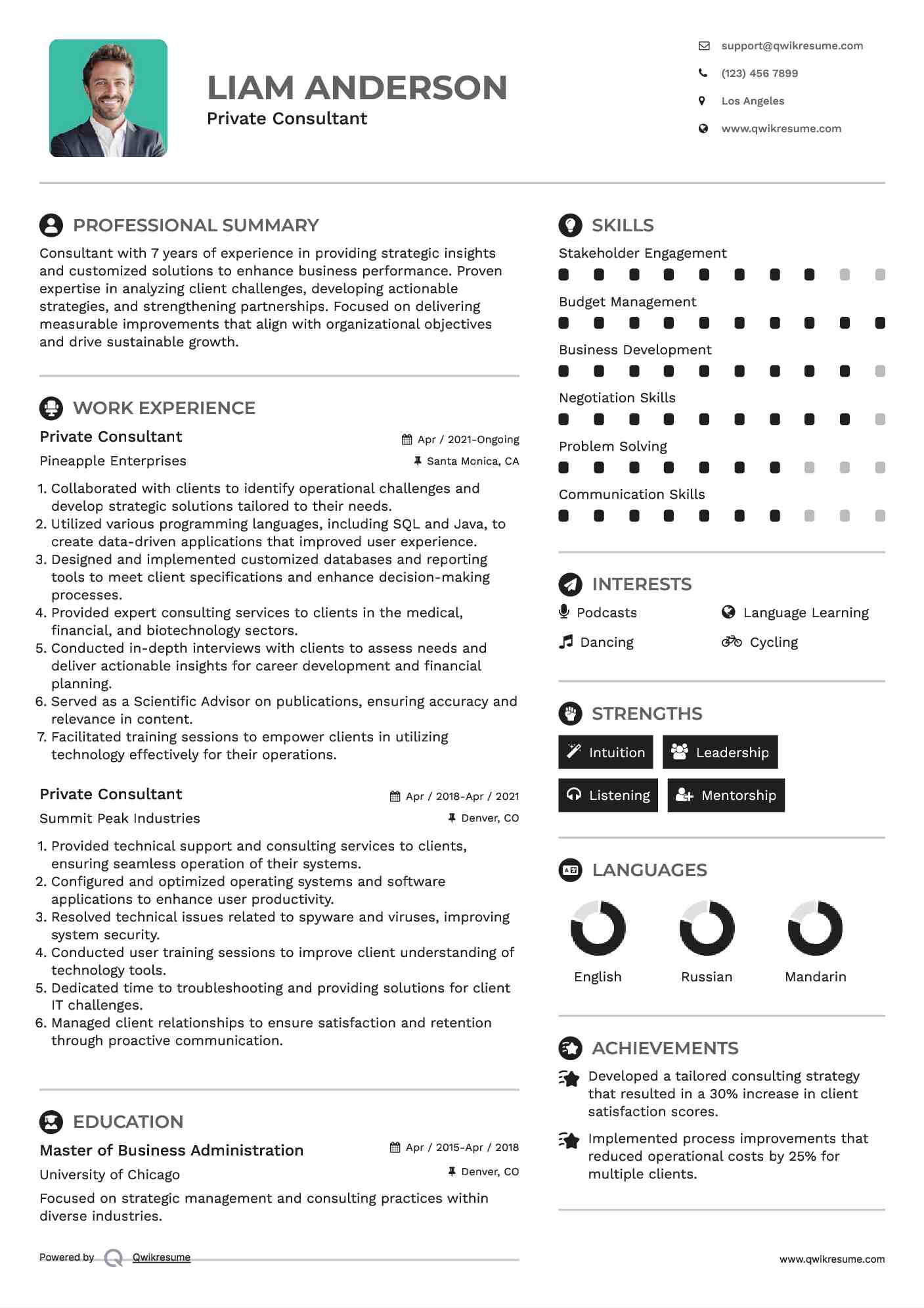 Private Consultant Resume Model