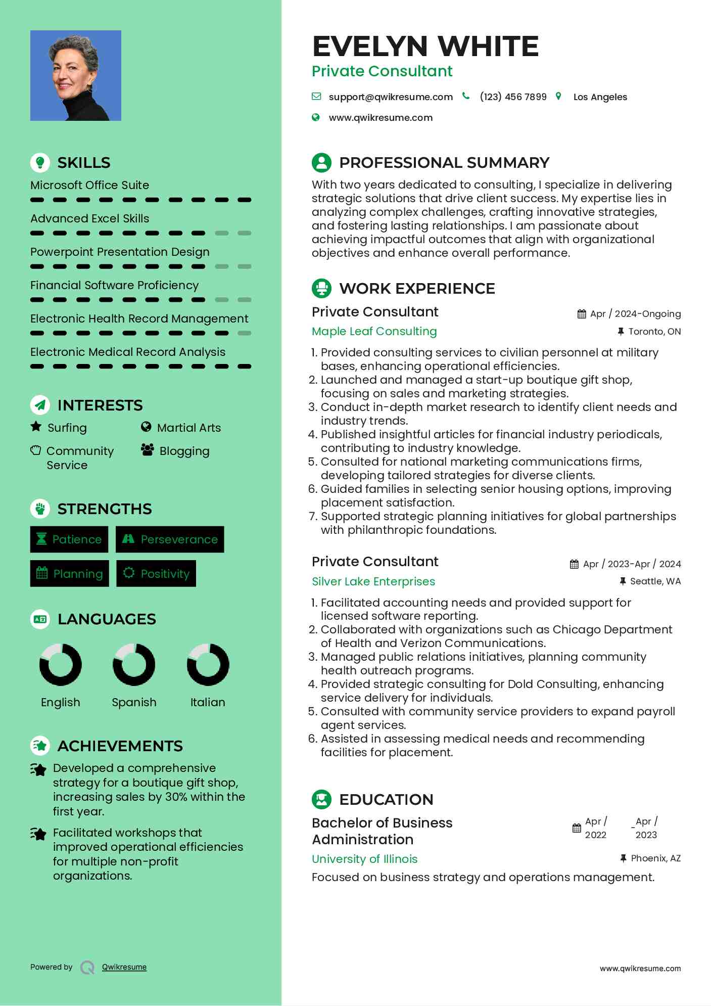 Private Consultant Resume Example