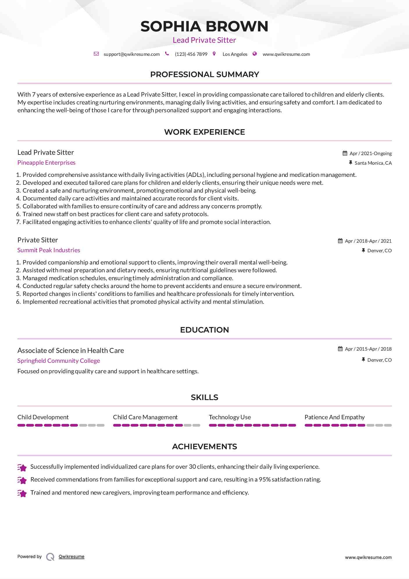 Lead Private Sitter Resume Template