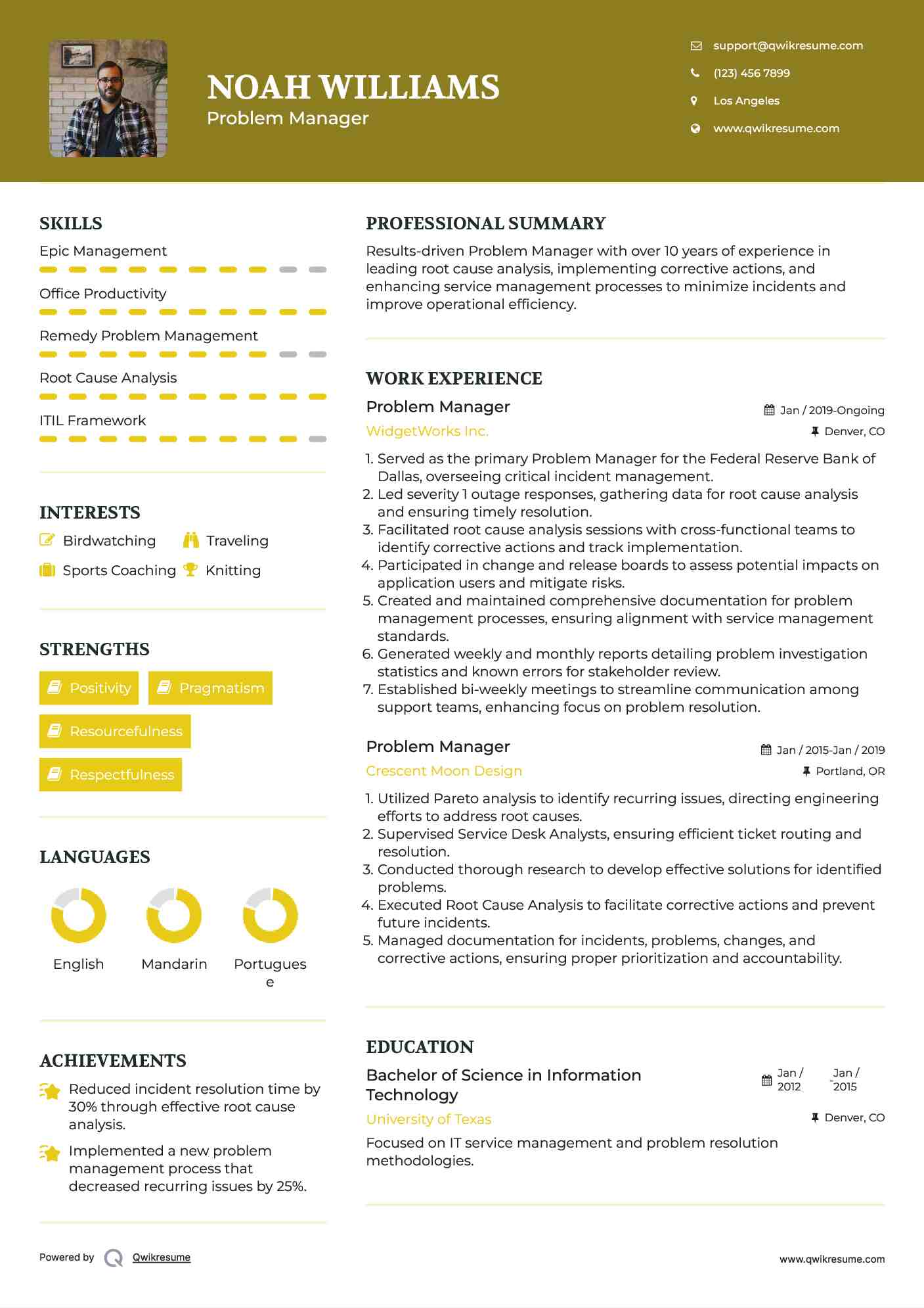 Problem Manager Resume Template