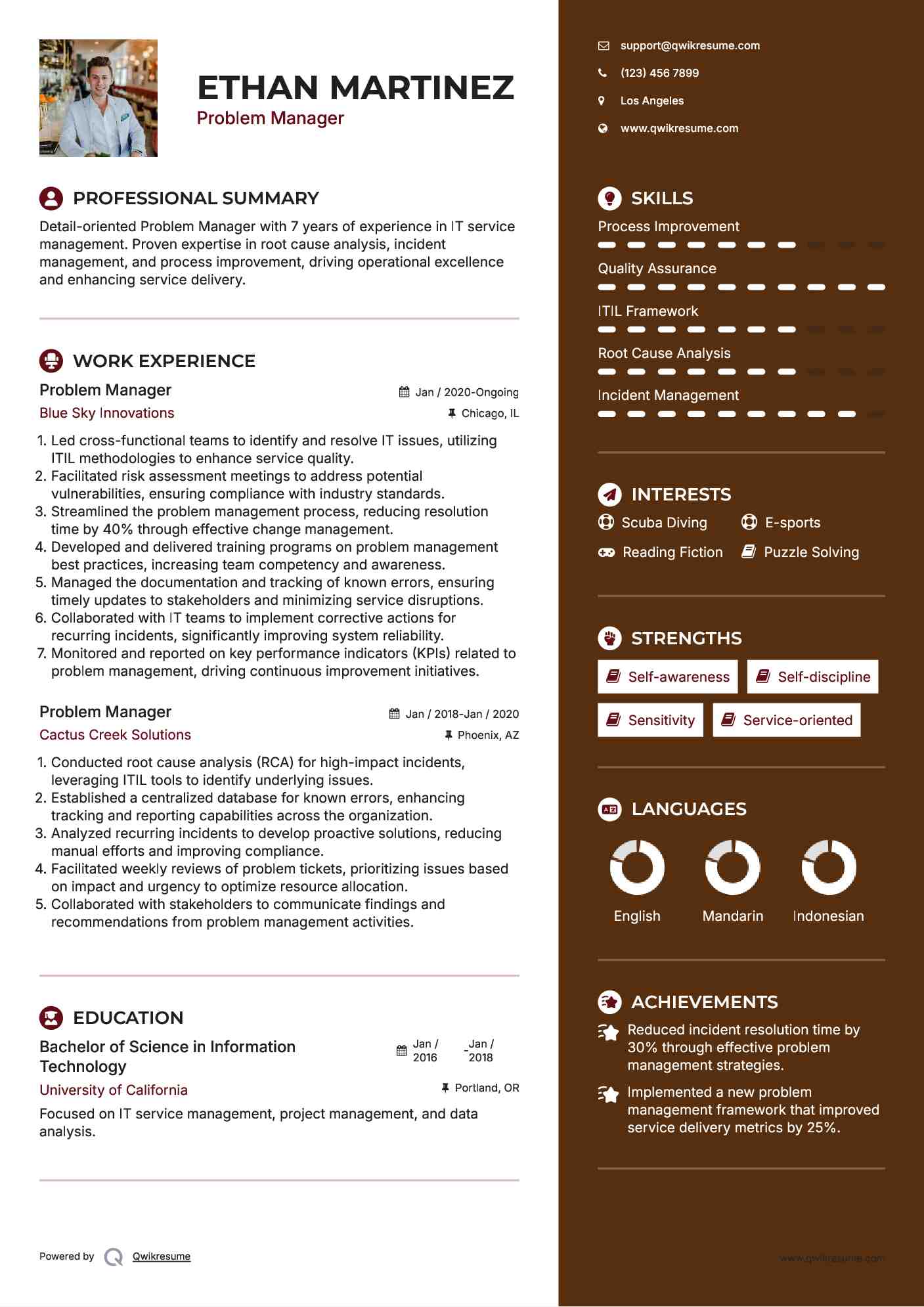 Problem Manager Resume Model