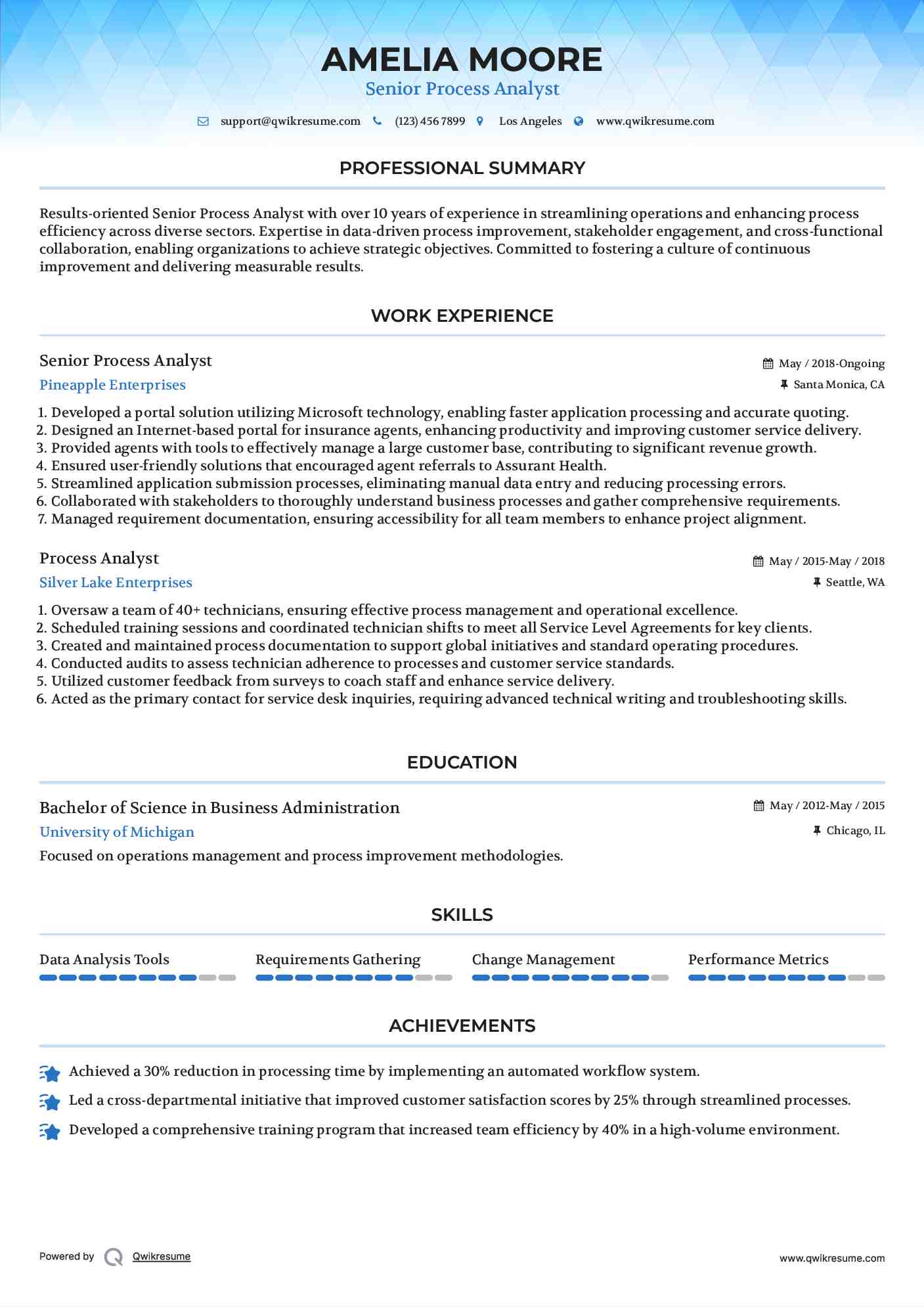 Senior Process Analyst Resume Sample