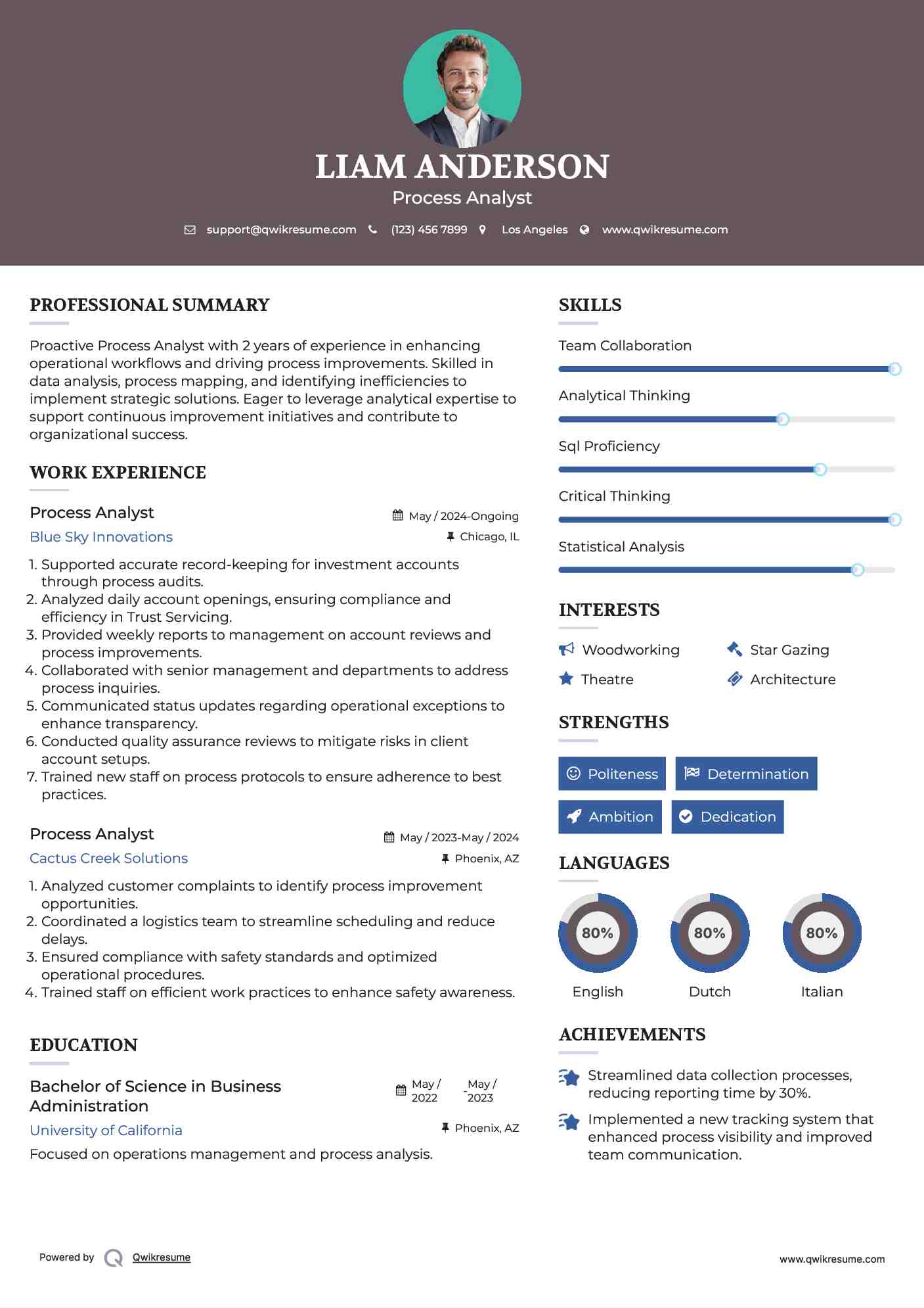 Process Analyst Resume Model