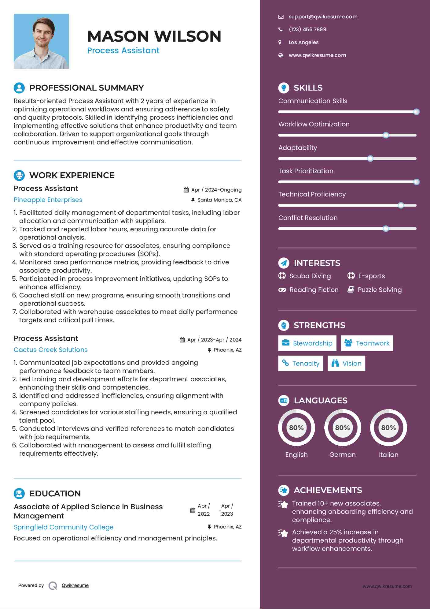 Process Assistant Resume Model