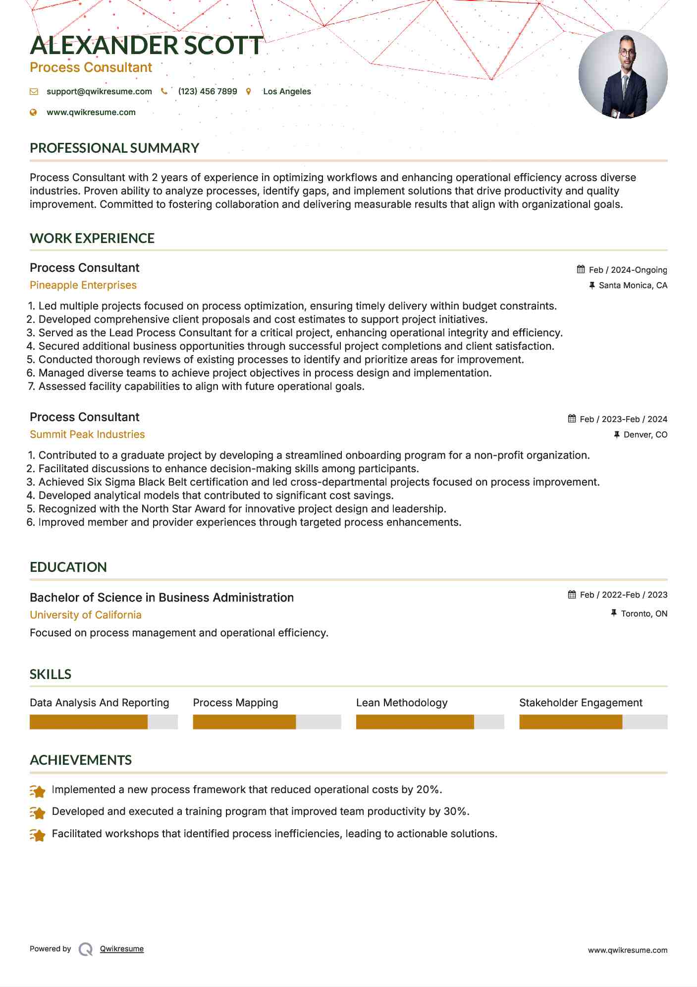 Process Consultant Resume Template