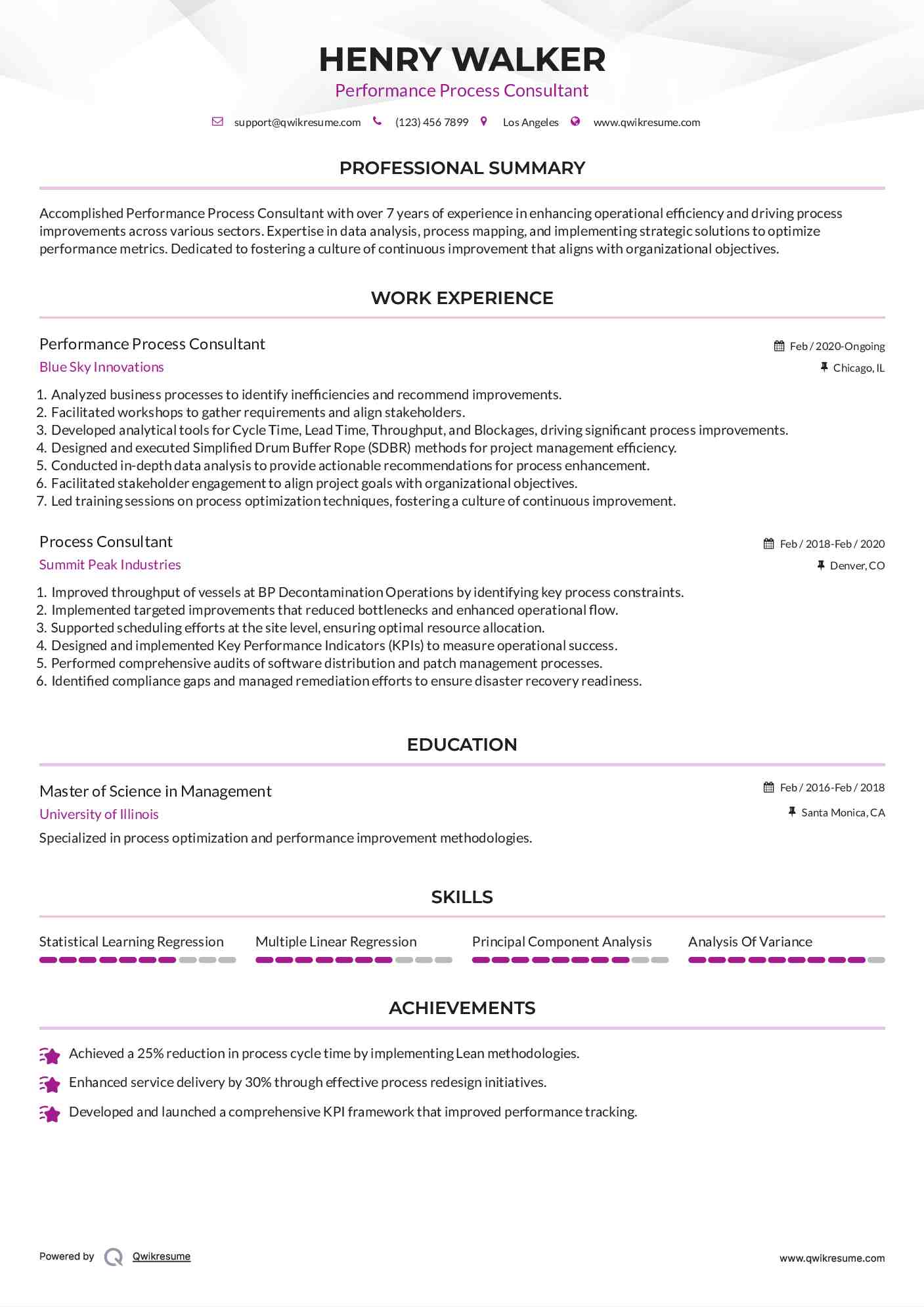 Performance Process Consultant Resume Format