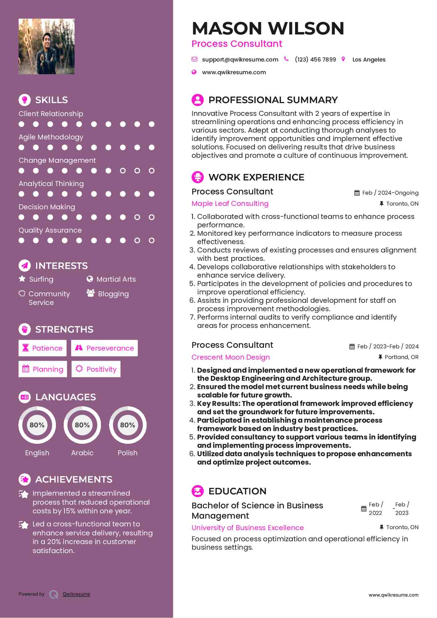 Process Consultant Resume Sample